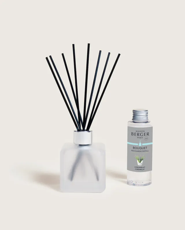 maison-berger-paris-bouquet-parfum-estivale-citronnelle-diffuseur-gla-on image 1