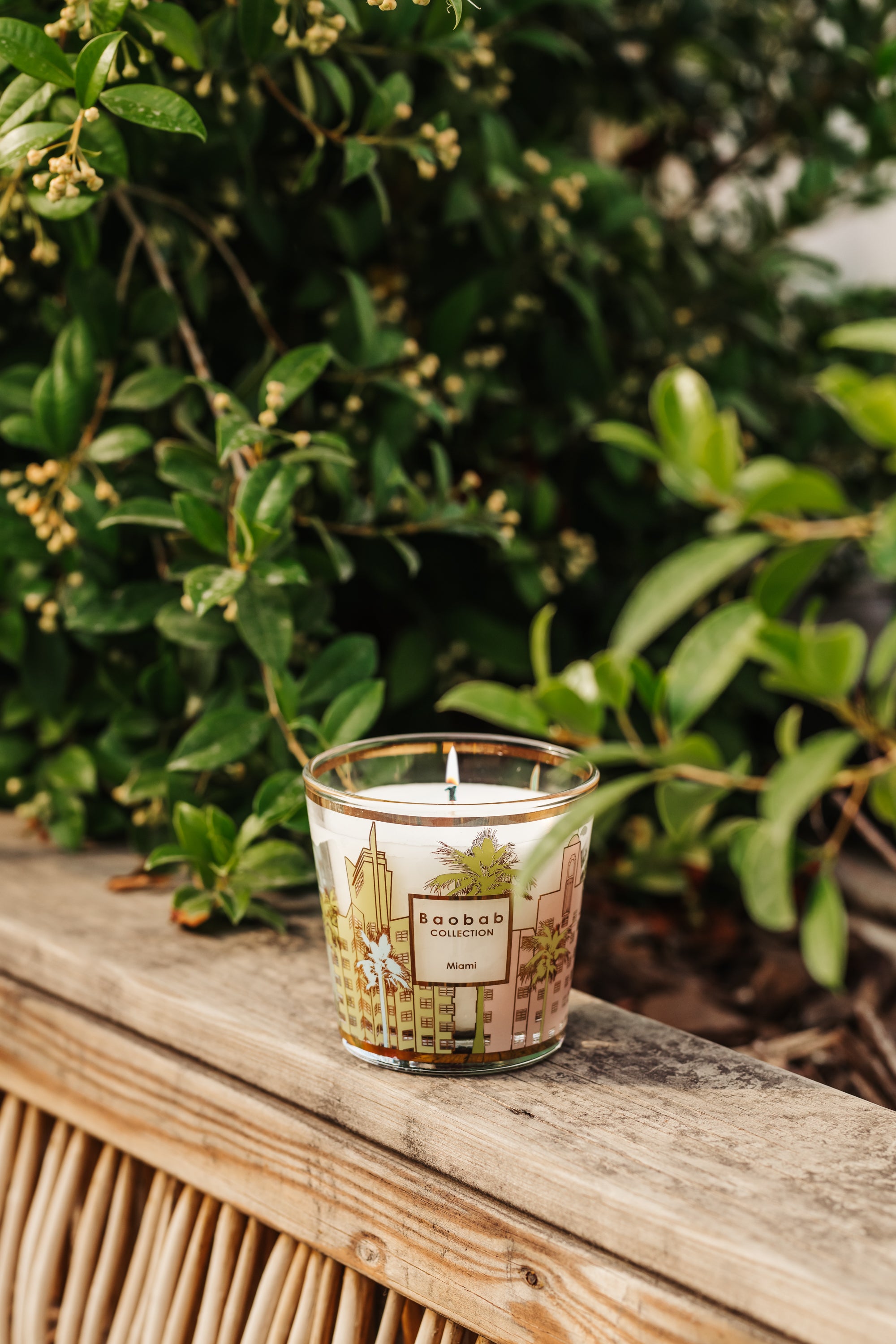 baobab-collection-my-first-baobab-miami-bougie-parfum-e-190-g image 3