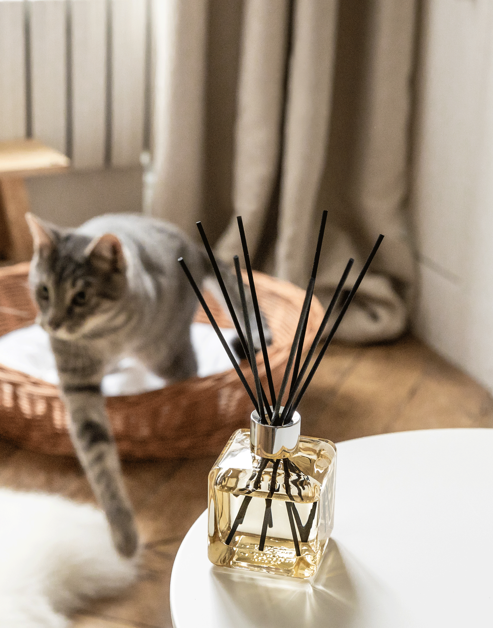 maison-berger-paris-bouquet-parfum-mon-int-rieur-sans-odeurs-d-animaux image 5