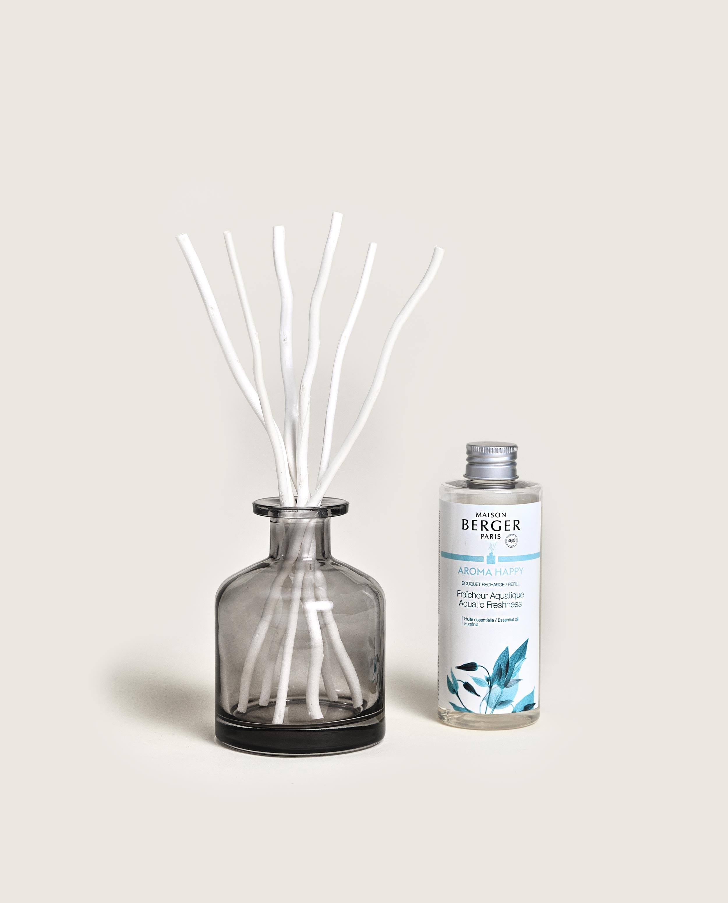 maison-berger-paris-bouquet-parfum-aroma-happy-gris image 1