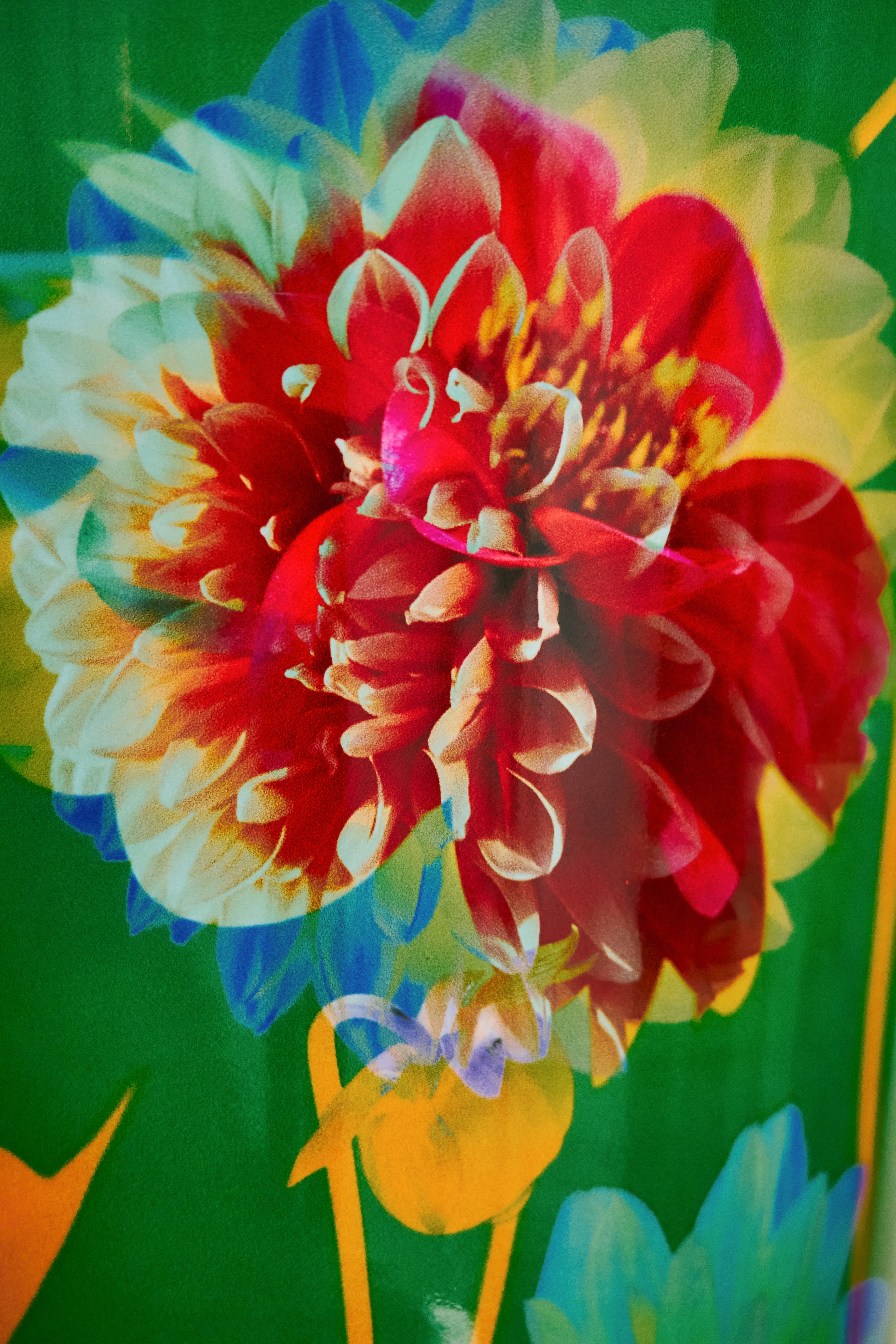 baobab-collection-bougie-parfum-e-arty-flowers-bouquet image 4