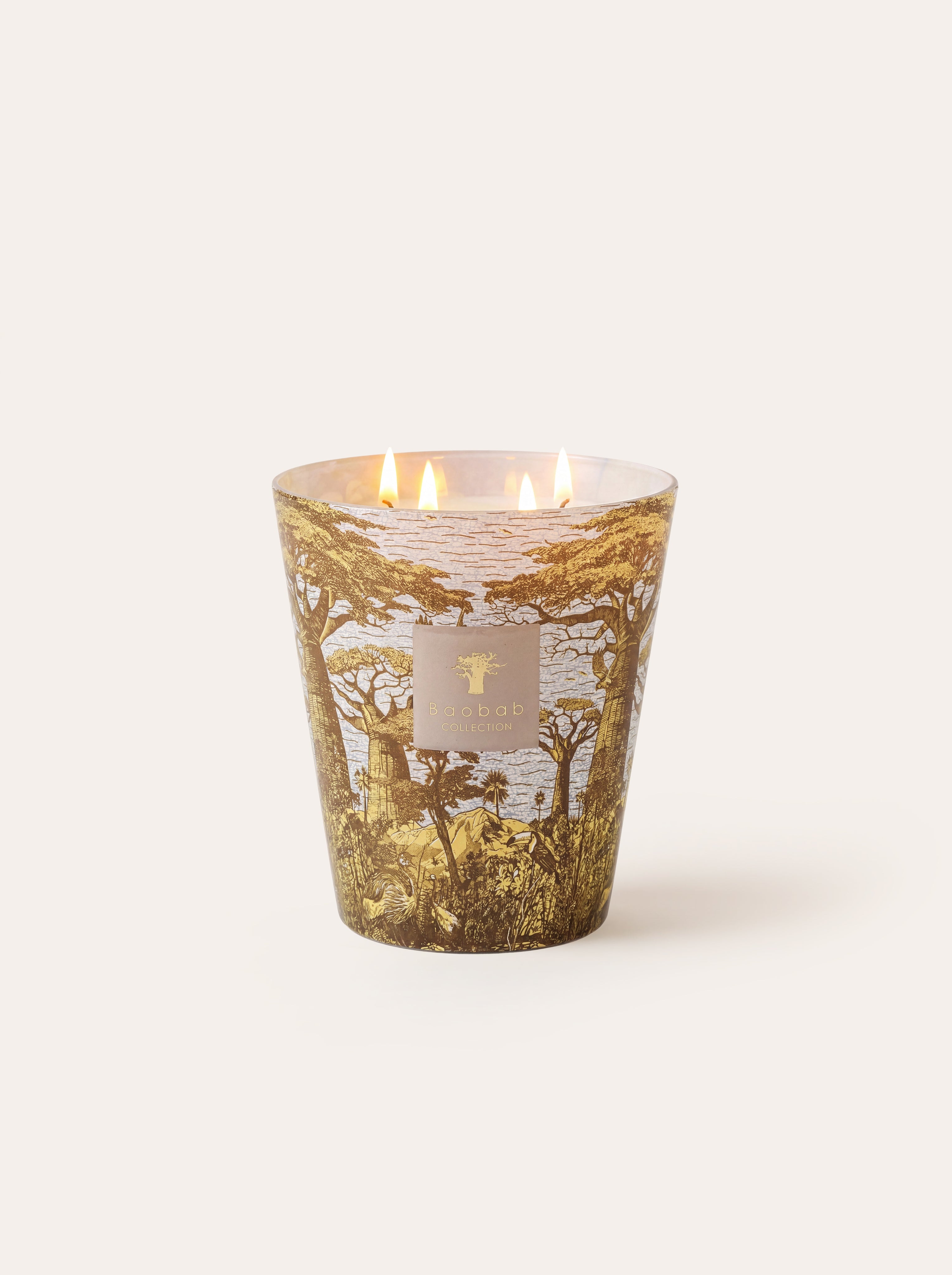 baobab-collection-bougie-parfum-e-sacred-trees-bounkani image 8