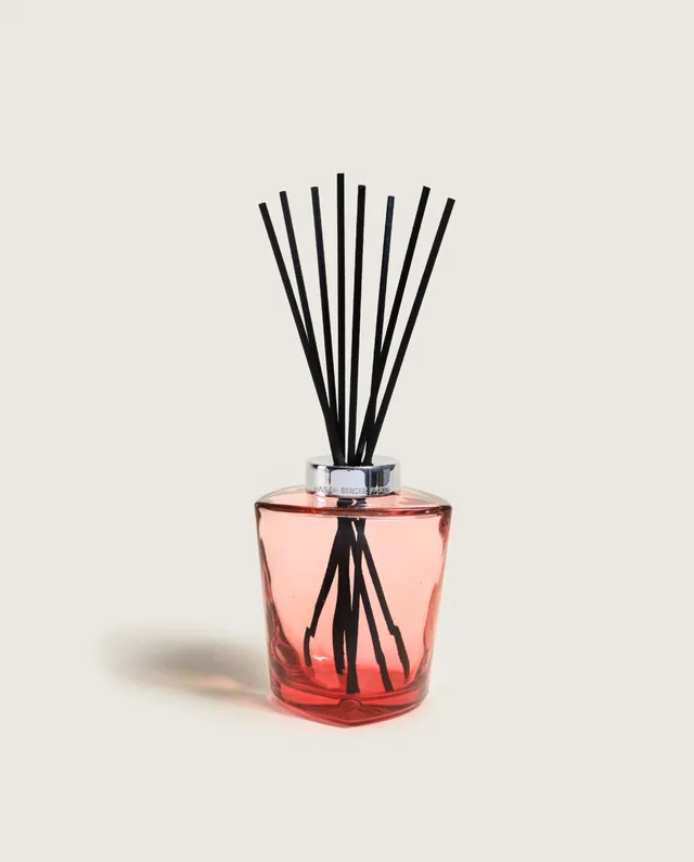 maison-berger-paris-bouquet-parfum-terra-rouge image 1