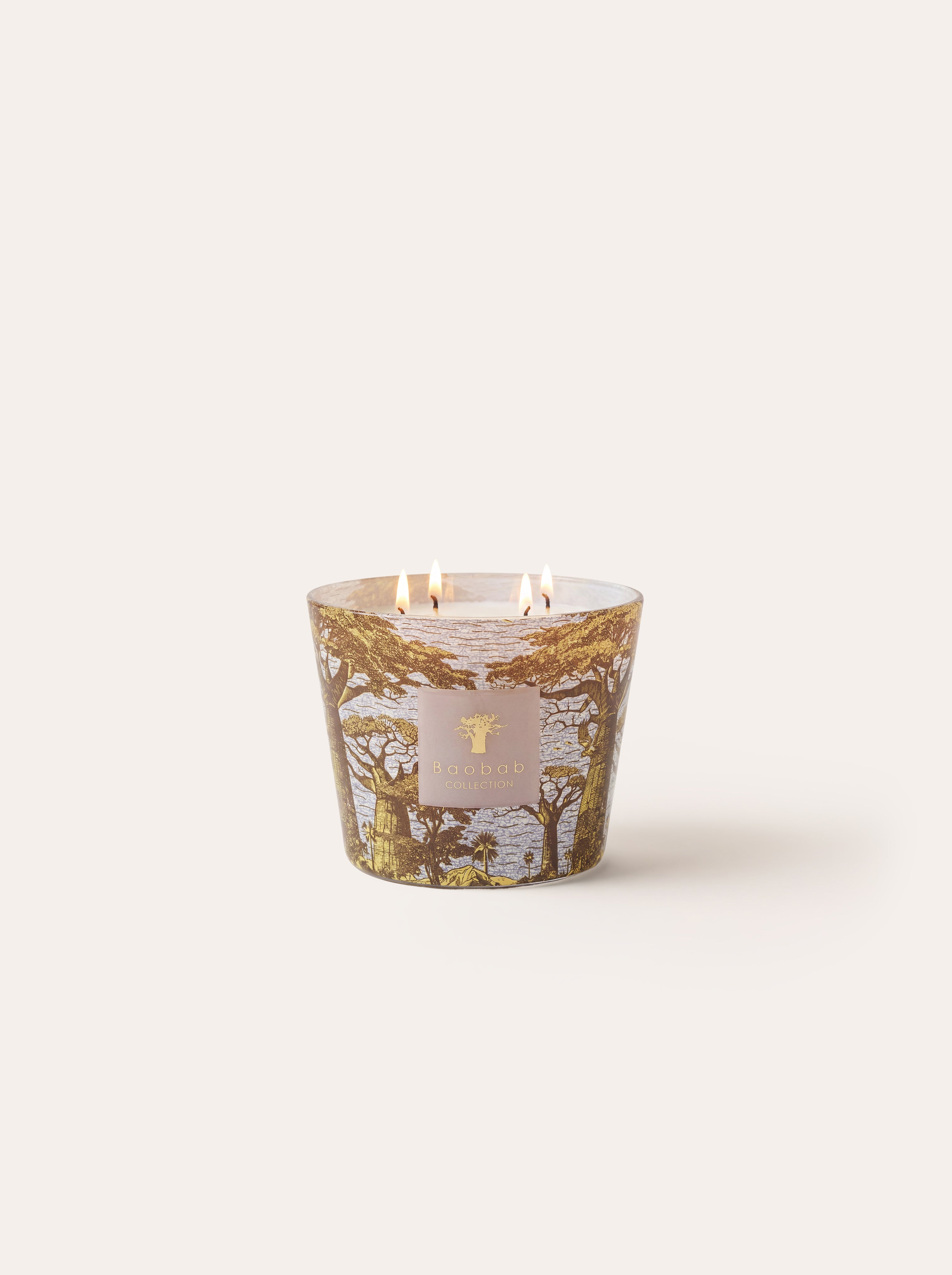 baobab-collection-bougie-parfum-e-sacred-trees-bounkani image 7