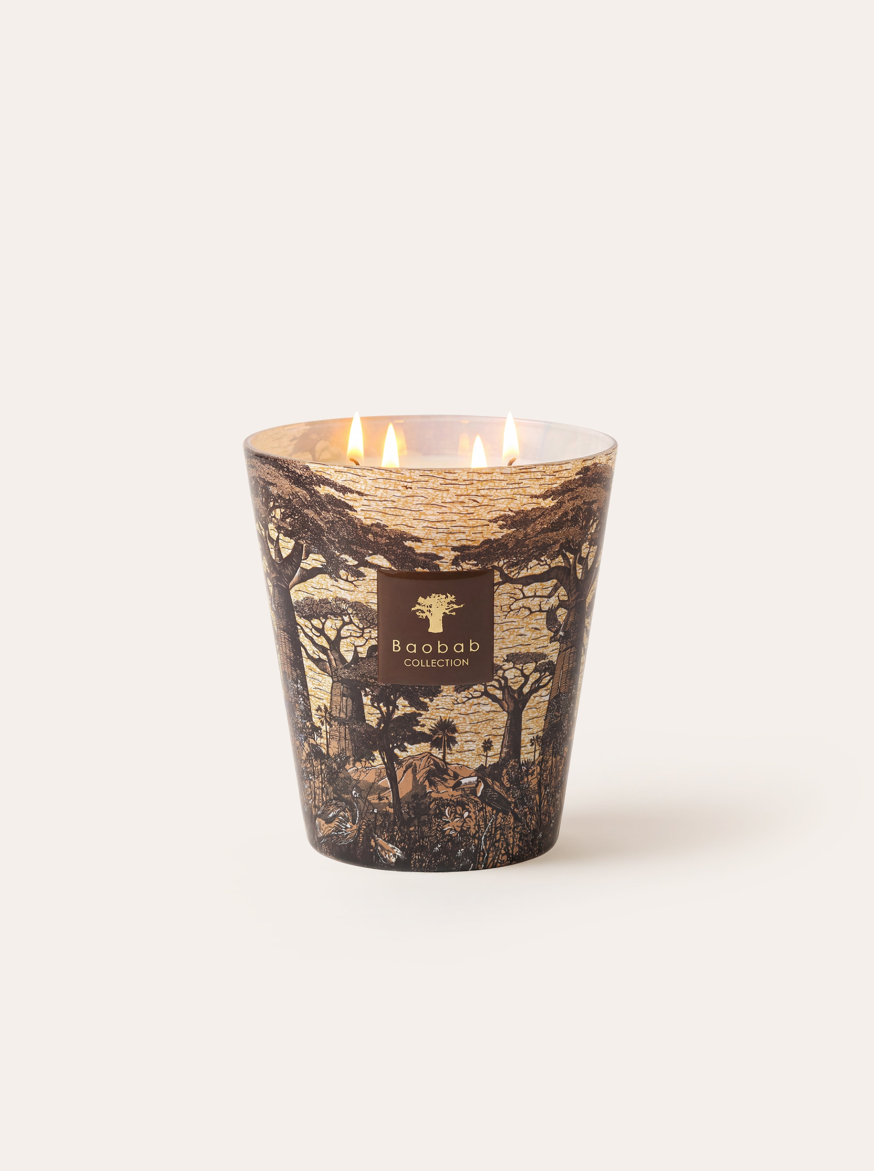 baobab-collection-bougie-parfum-e-sacred-trees-mankono image 6