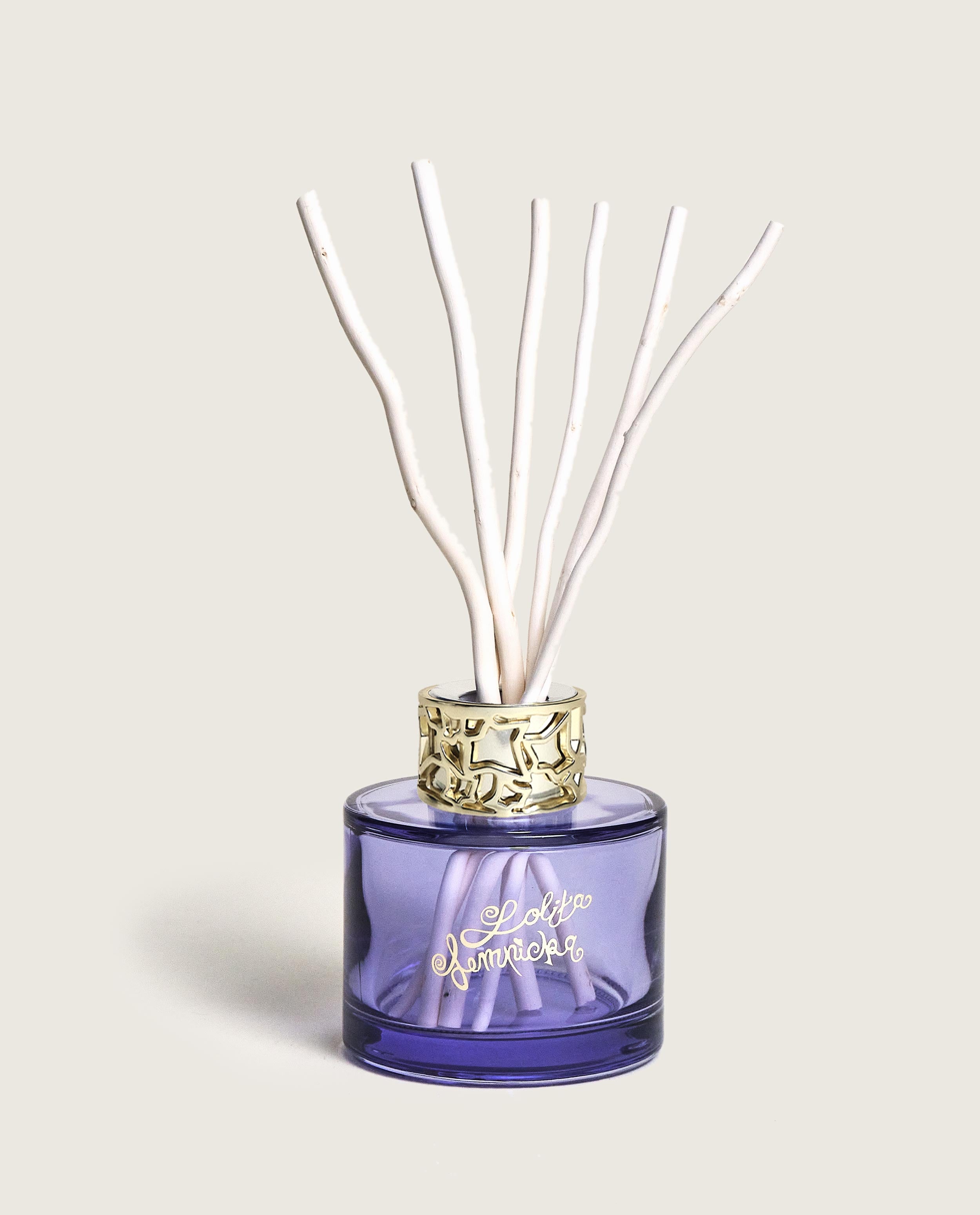 maison-berger-paris-duo-mini-bouquet-spray-lolita-lempicka-parme image 3