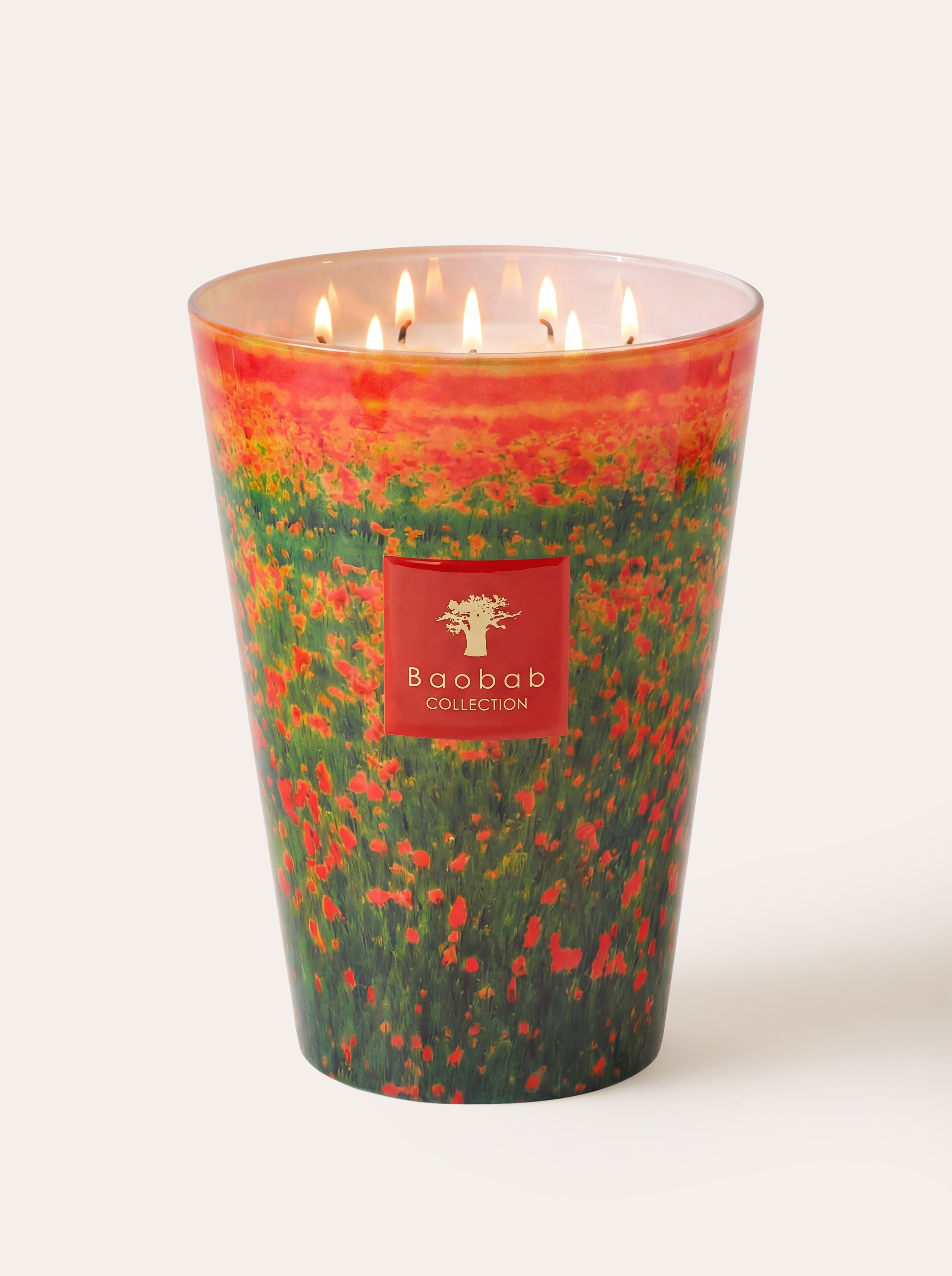 baobab-collection-arty-flowers-poppies-bougie-parfum-e image 5