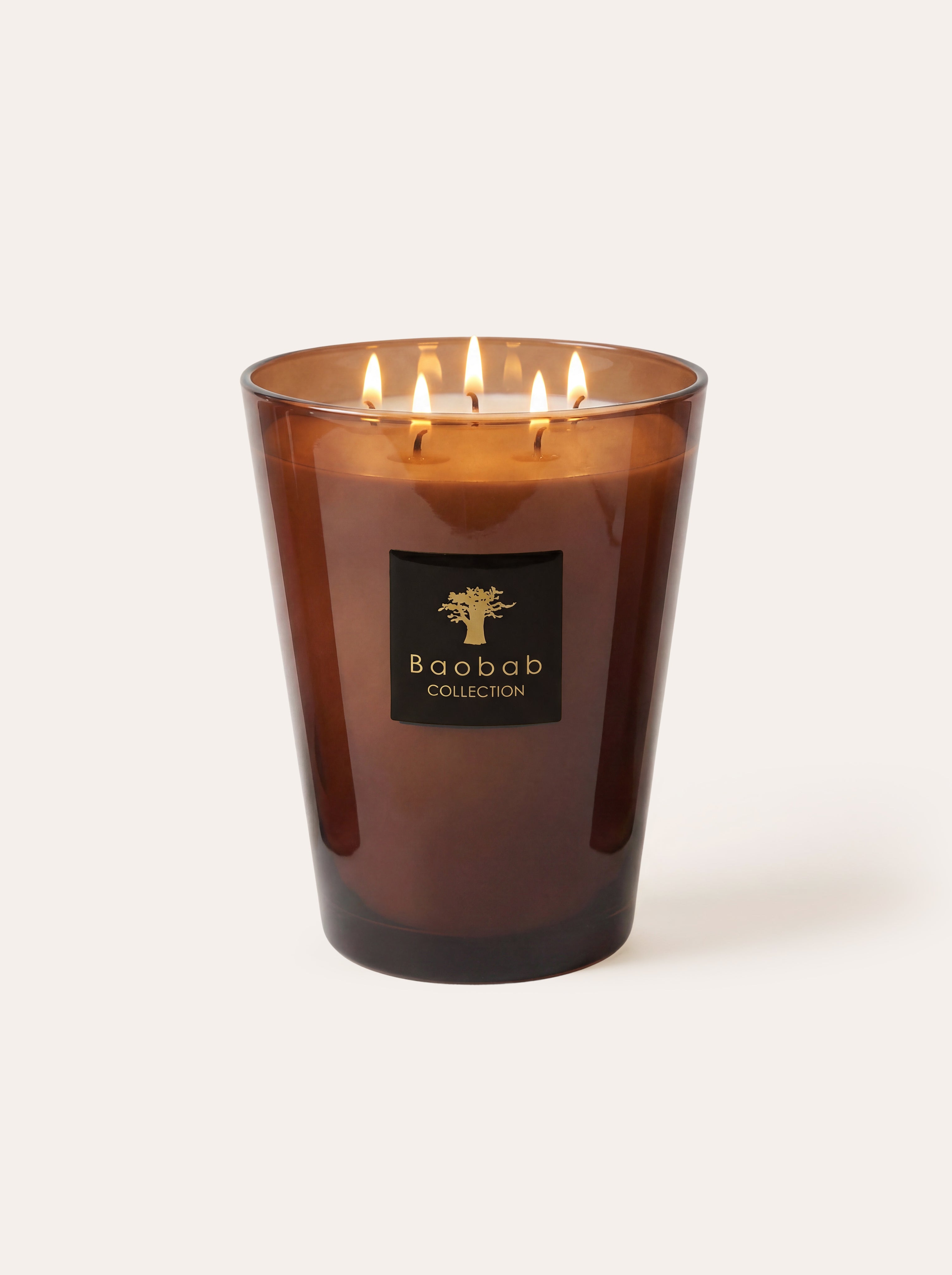 baobab-collection-les-prestigieuses-cuir-de-russie-bougie-parfum-e image 1