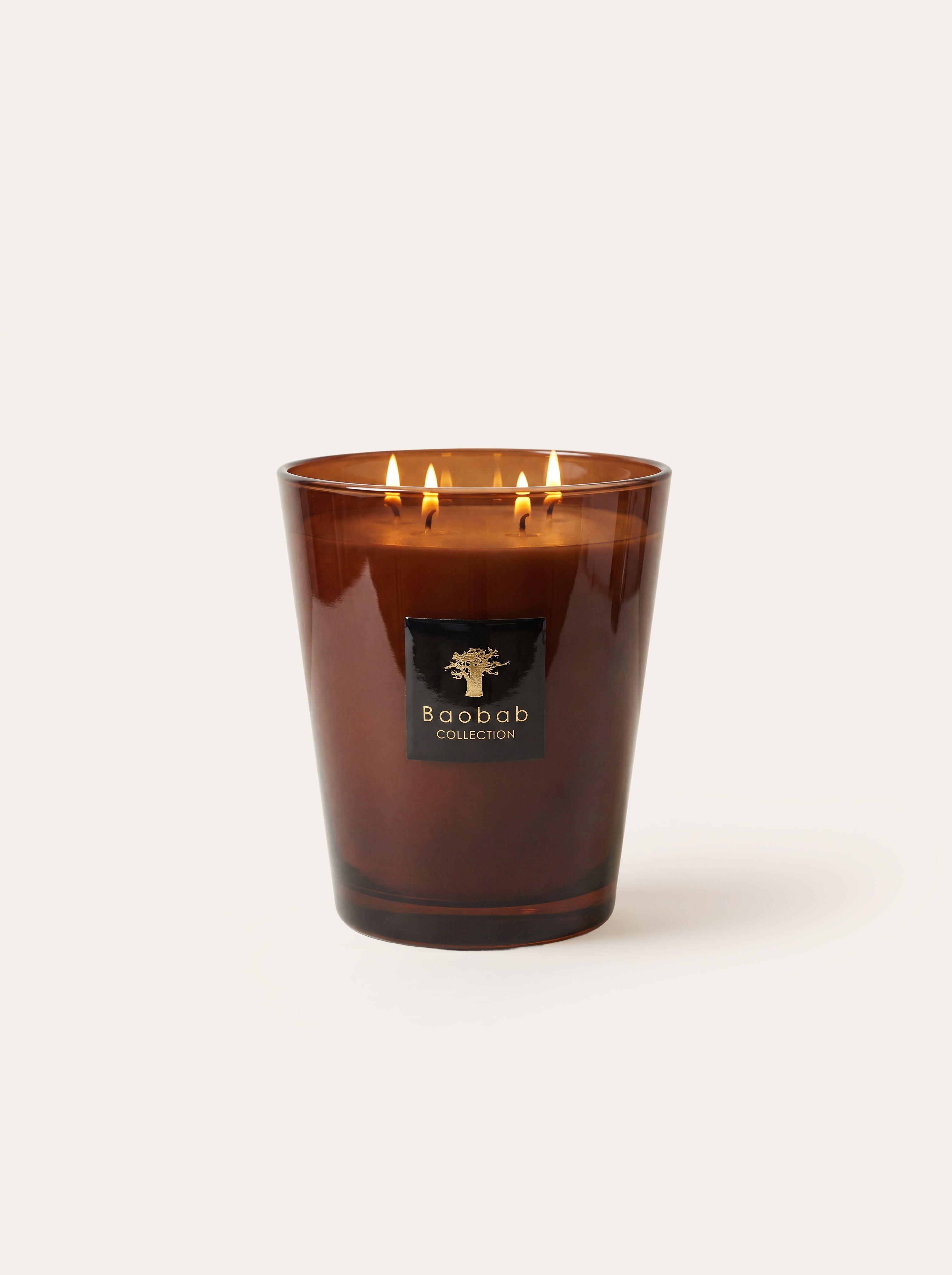baobab-collection-les-prestigieuses-cuir-de-russie-bougie-parfum-e image 4