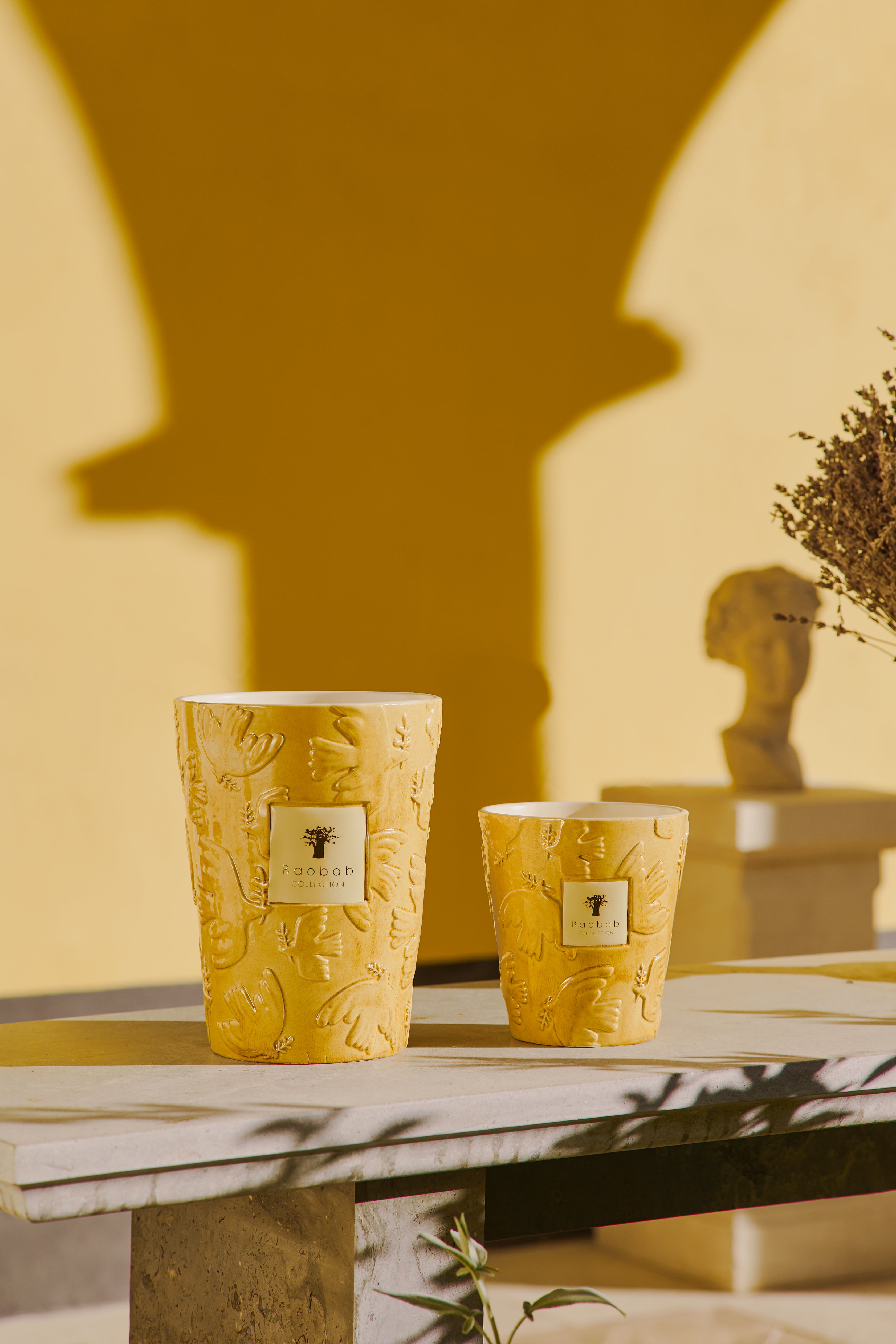 baobab-collection-bougie-parfum-e-paz-dove image 2
