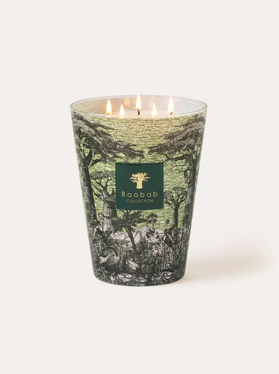 baobab-collection-sacred-trees-bougie-parfum-e-touba image 1