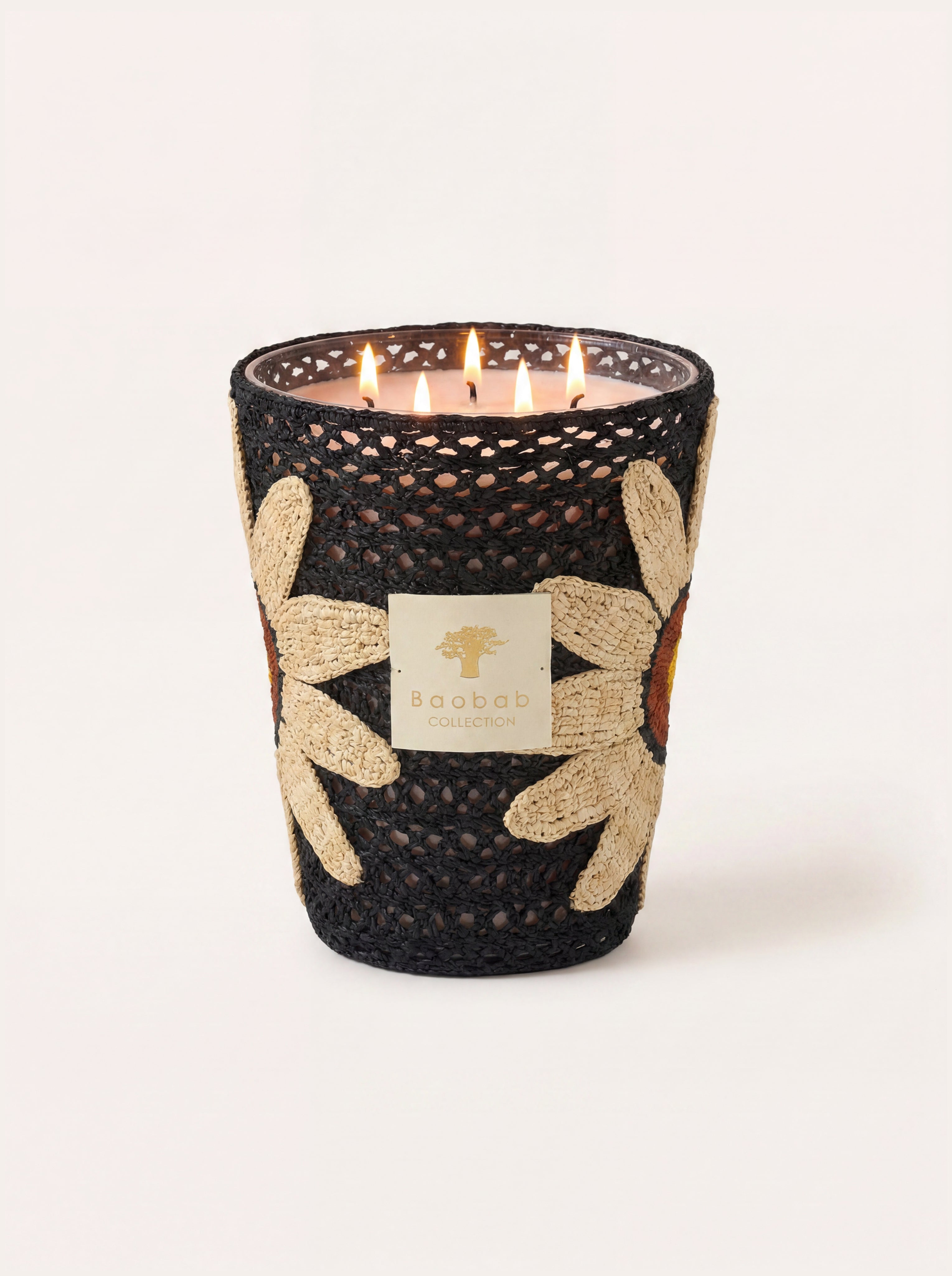 baobab-collection-bougie-parfum-e-tournesol-sunflower image 1