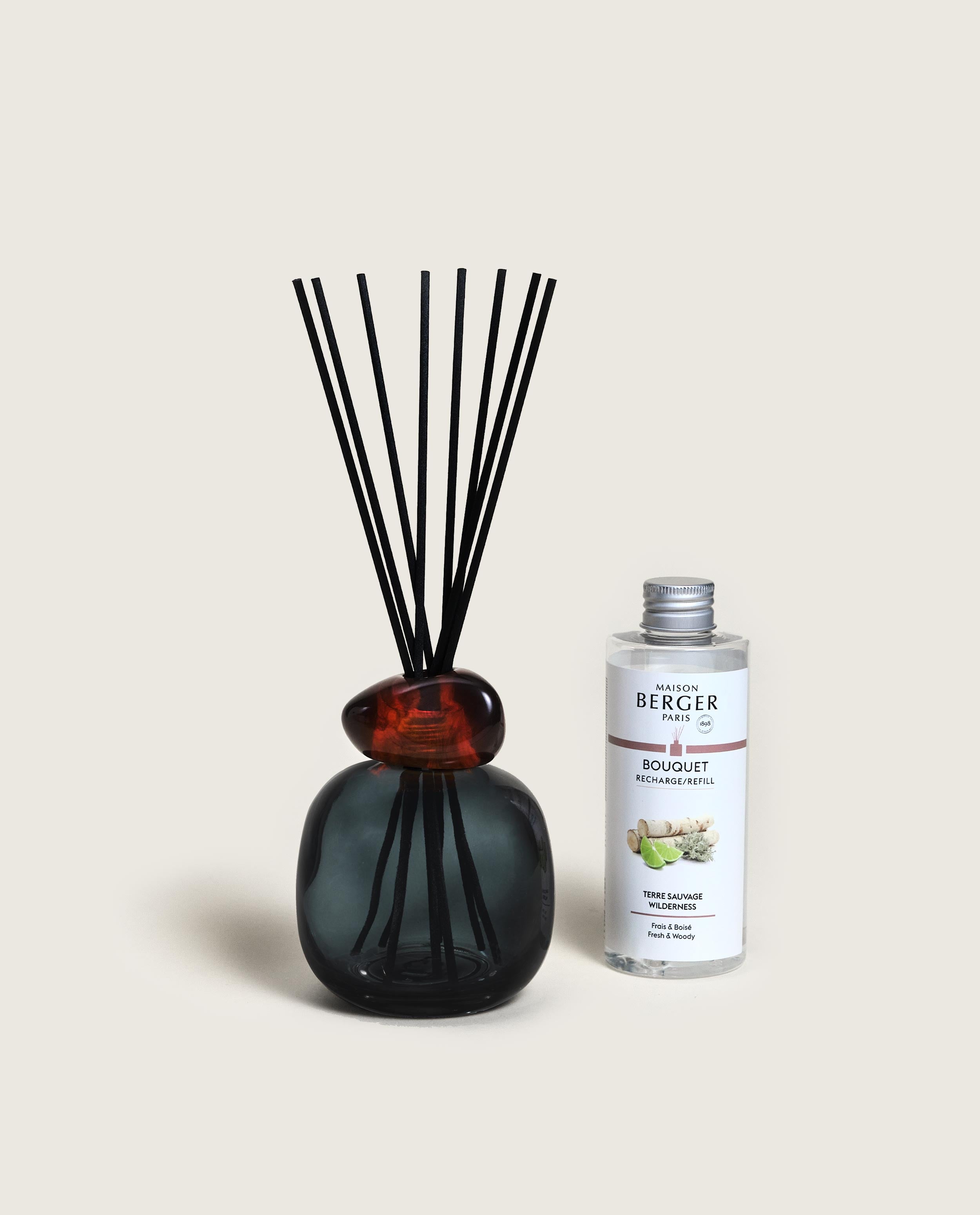 maison-berger-paris-bouquet-parfum-min-ral-terre-sauvage image 1