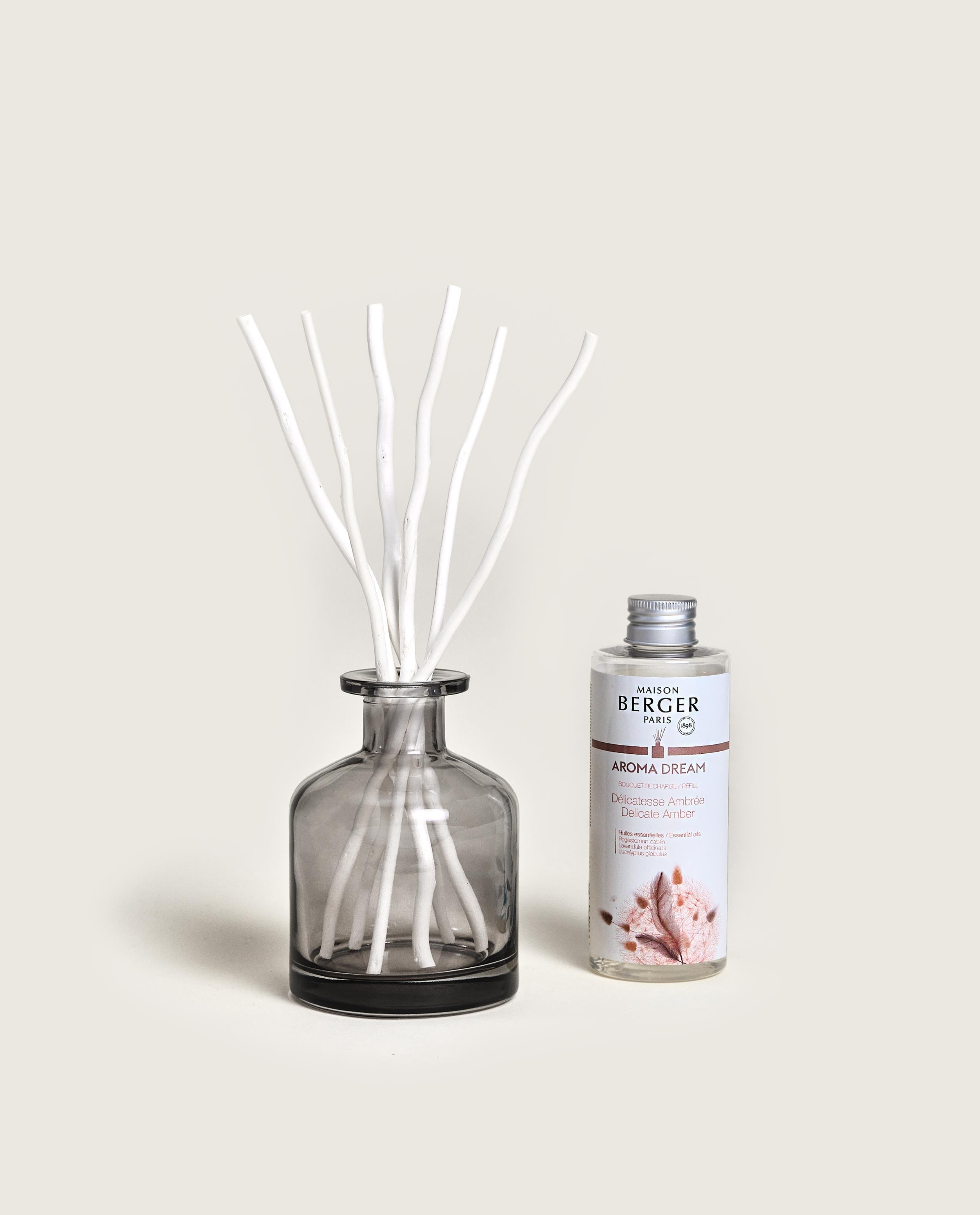 maison-berger-paris-bouquet-parfum-aroma-dream-gris-apothicaire image 1