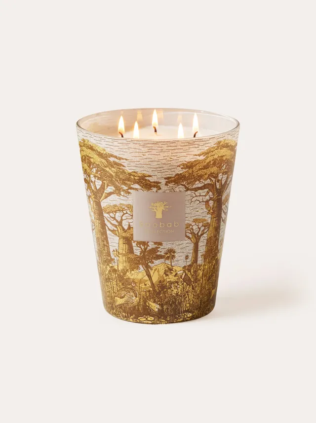 baobab-collection-bougie-parfum-e-sacred-trees-bounkani image 1