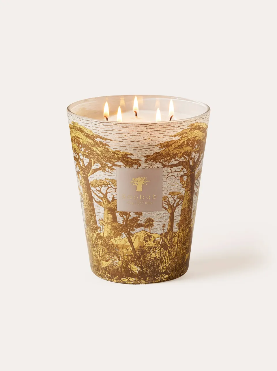 baobab-collection-bougie-parfum-e-sacred-trees-bounkani image 1