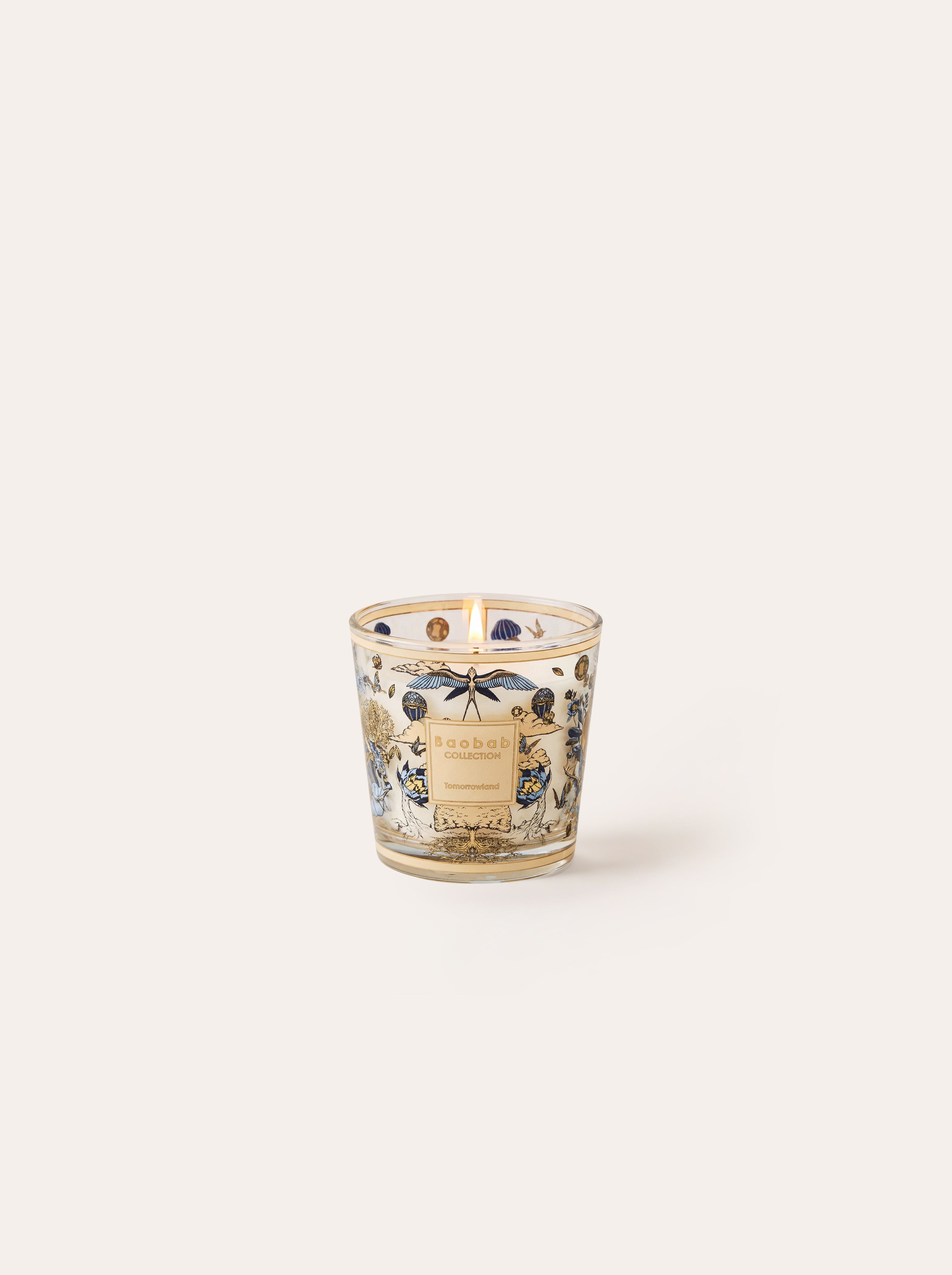baobab-collection-bougie-parfum-e-my-first-baobab-tomorrowland image 1