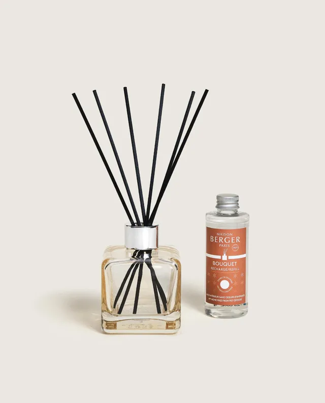 maison-berger-paris-bouquet-parfum-mon-int-rieur-sans-odeurs-d-animaux image 1