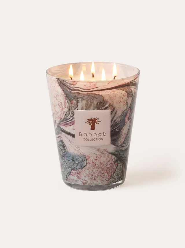 baobab-collection-leaves-manon-bougie-parfum-e image 1