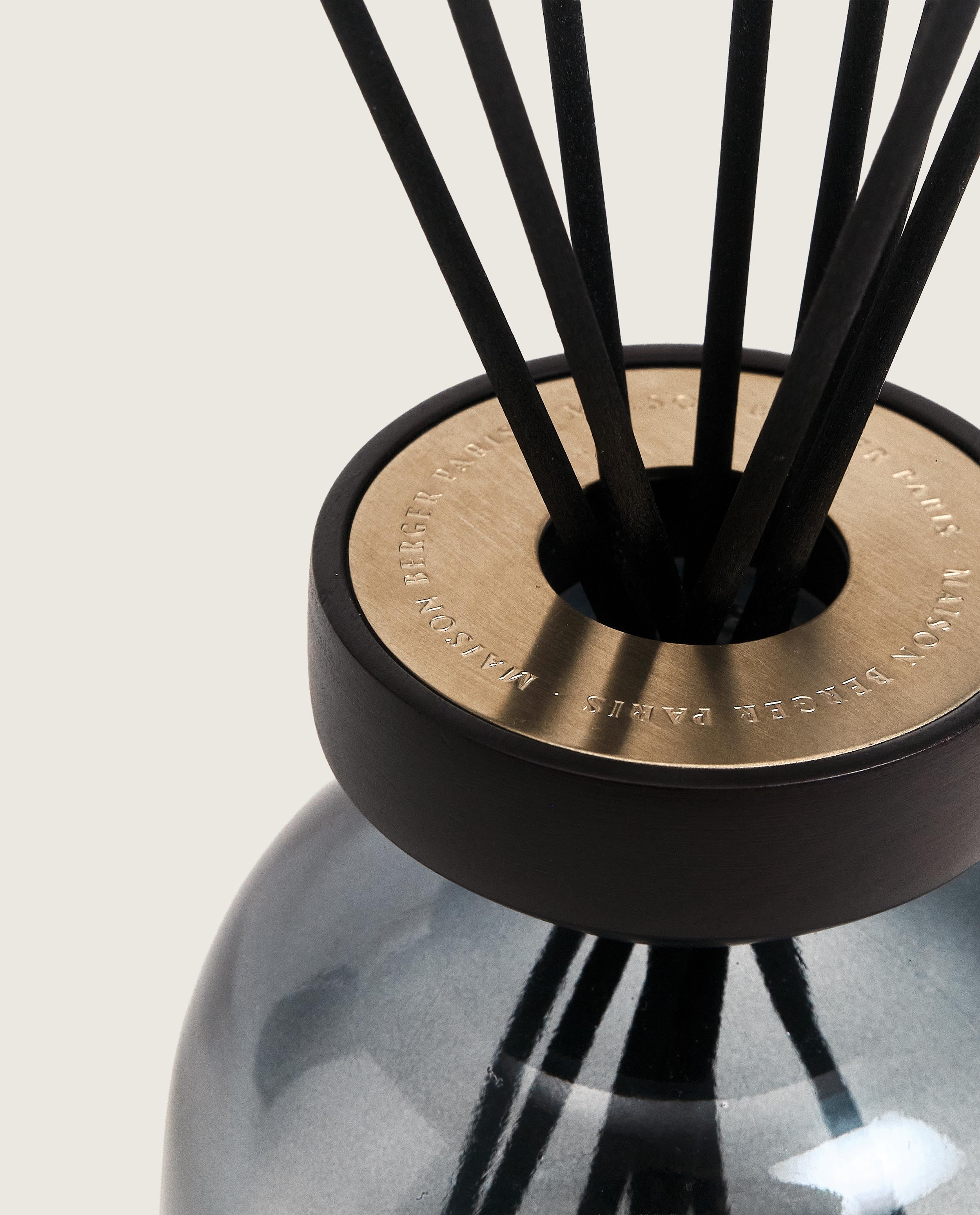 maison-berger-paris-bouquet-parfum-wood-musc-cocoon image 3