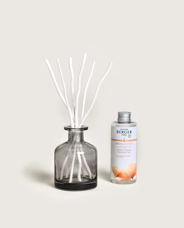 maison-berger-paris-bouquet-parfum-aroma-energy image 1