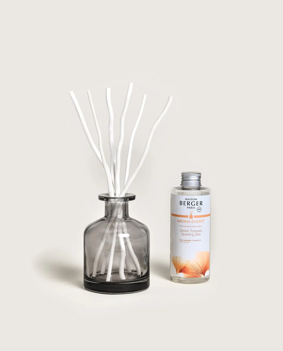 maison-berger-paris-bouquet-parfum-aroma-energy image 1