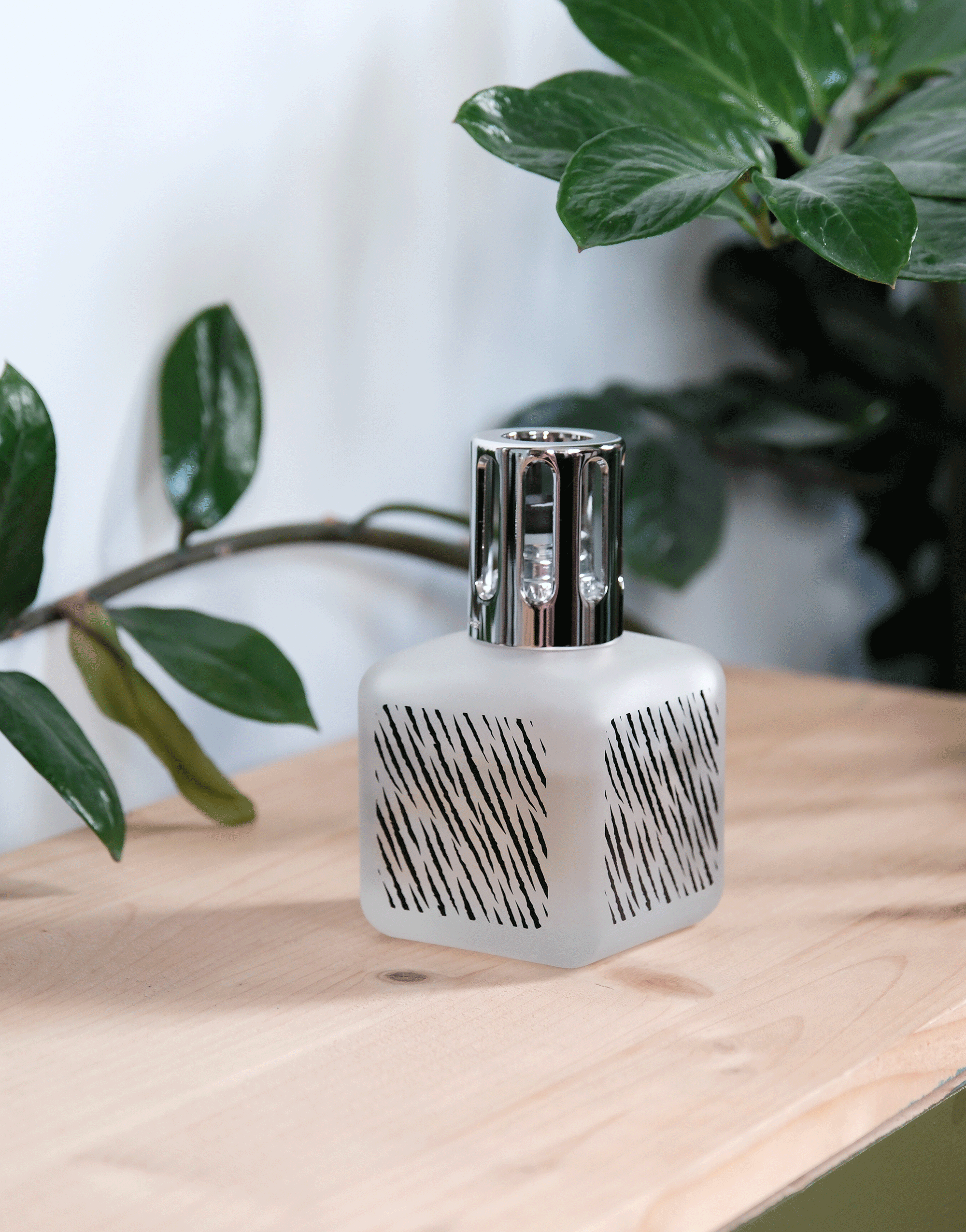 maison-berger-paris-coffret-lampe-berger-gla-on-zebra-parfum-terre-sauvage image 6
