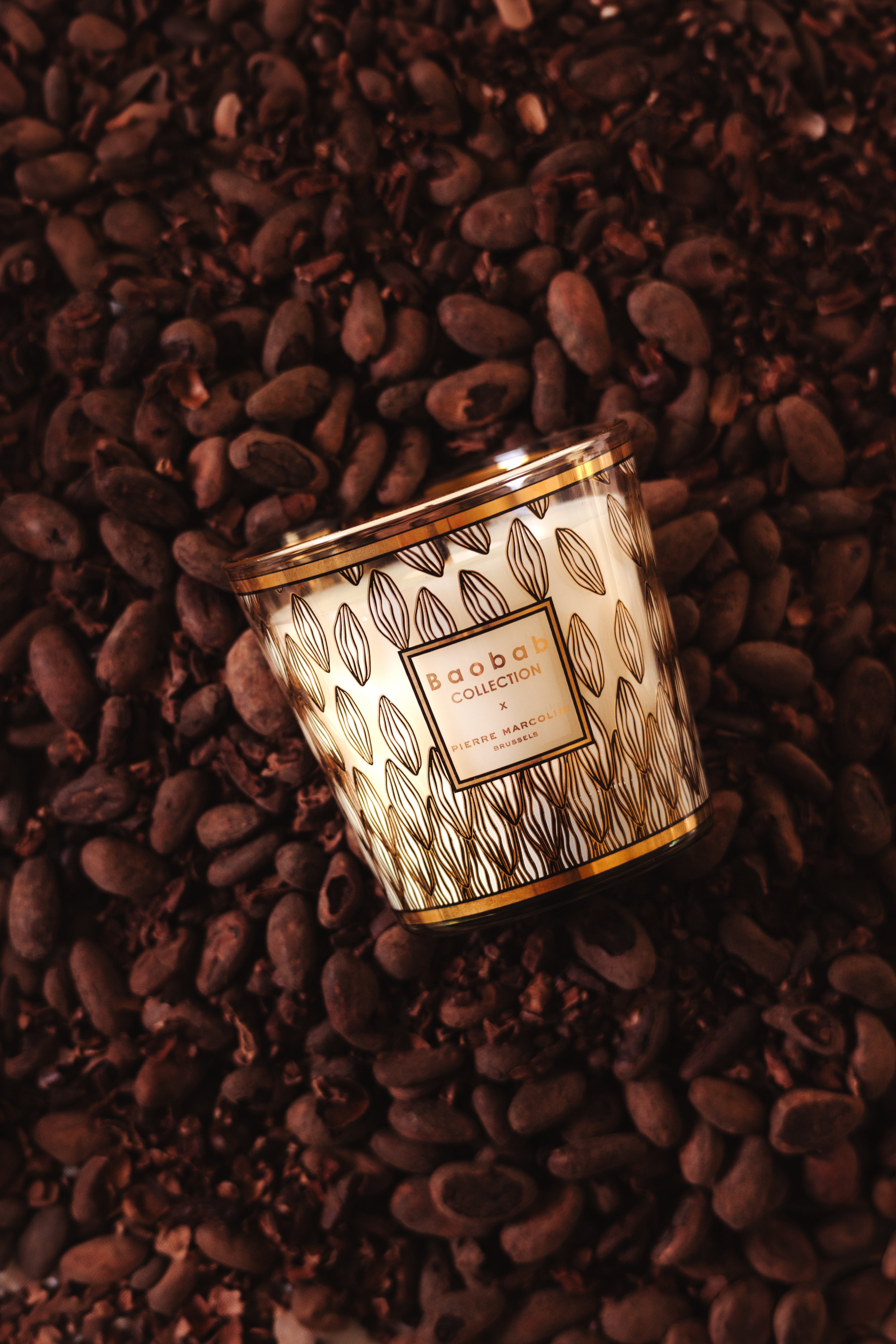 baobab-collection-bougie-parfum-e-my-first-baobab-pierre-marcolini-p-rou image 2