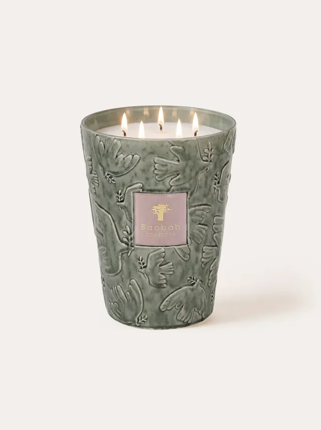 baobab-collection-paz-colombe-bougie-parfum-e-c-ramique-c-ladon image 1
