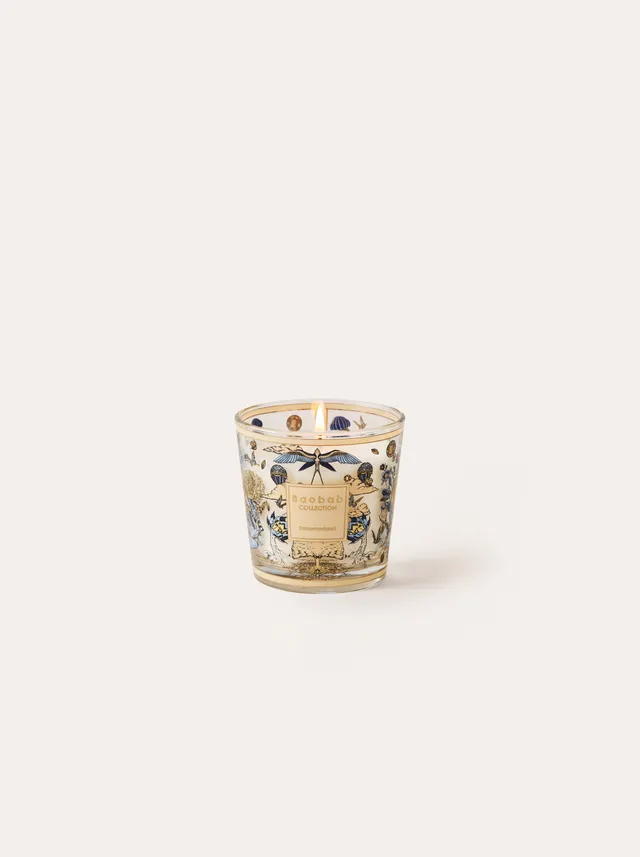 baobab-collection-bougie-parfum-e-my-first-baobab-tomorrowland image 1