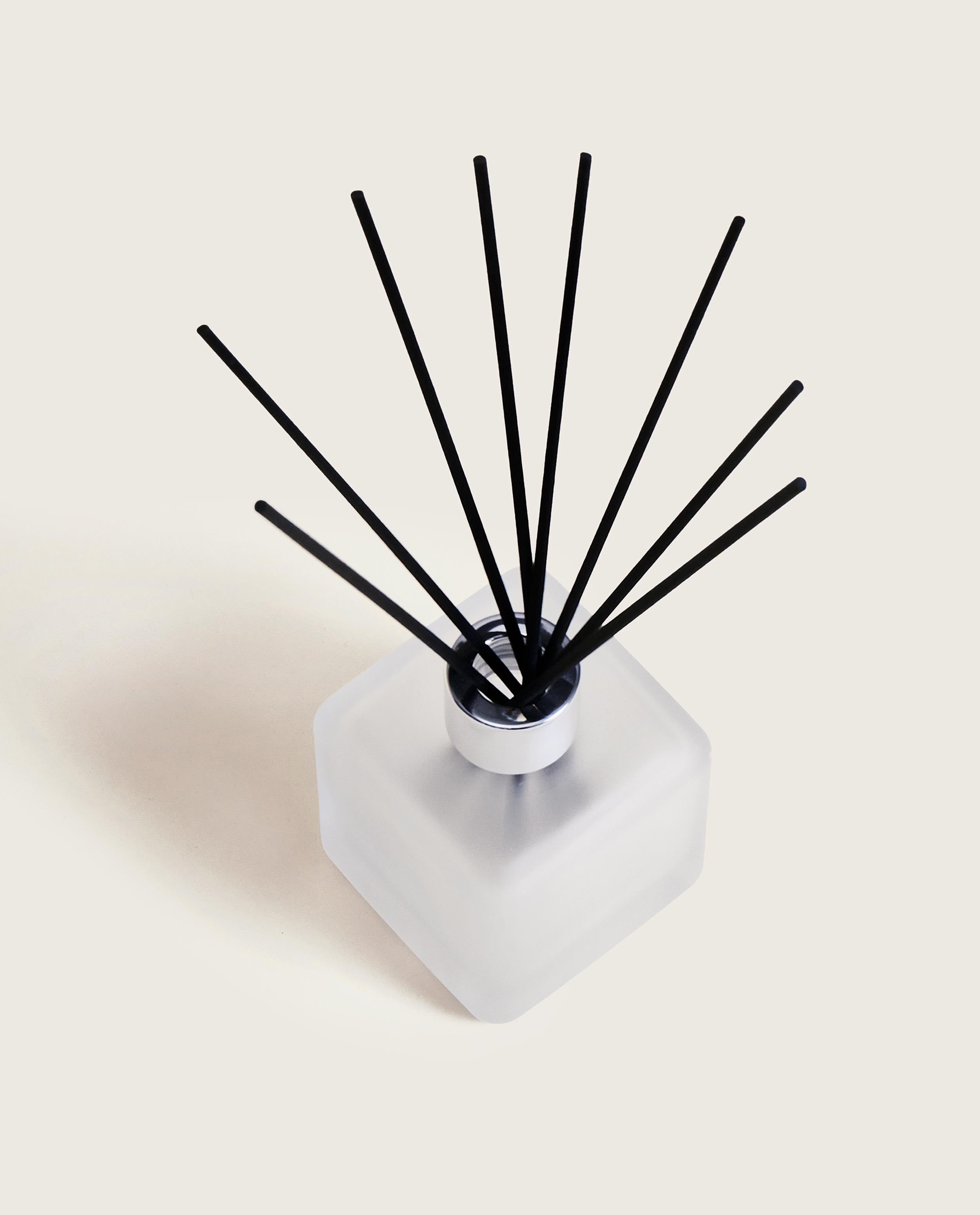 maison-berger-paris-bouquet-parfum-estivale-citronnelle-diffuseur-gla-on image 3