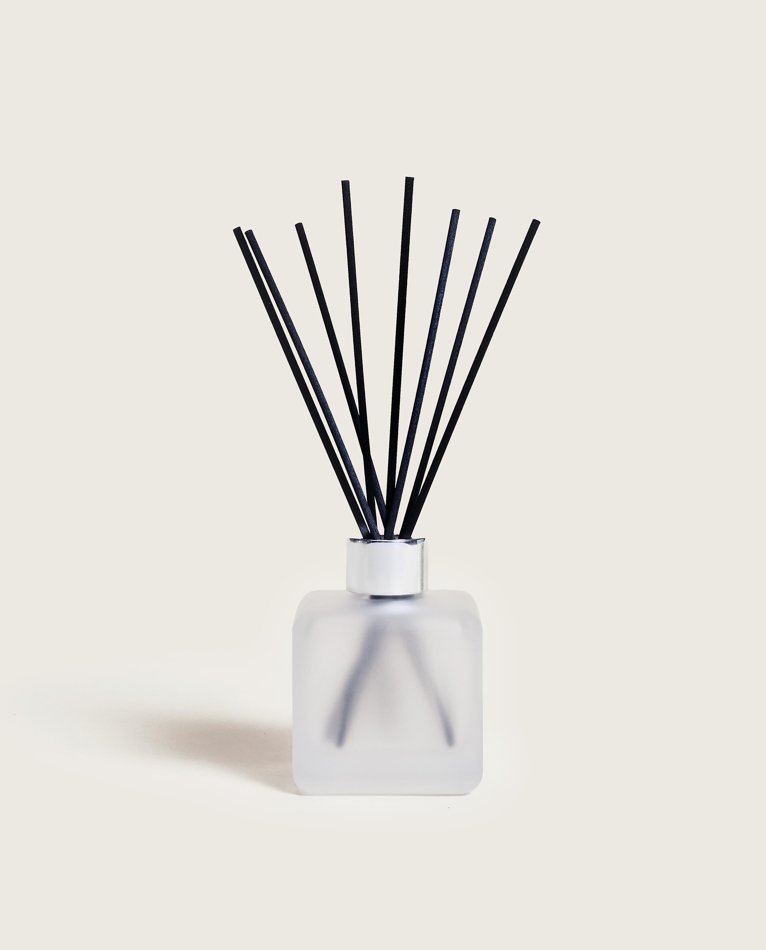 maison-berger-paris-bouquet-parfum-estivale-citronnelle-diffuseur-gla-on image 2