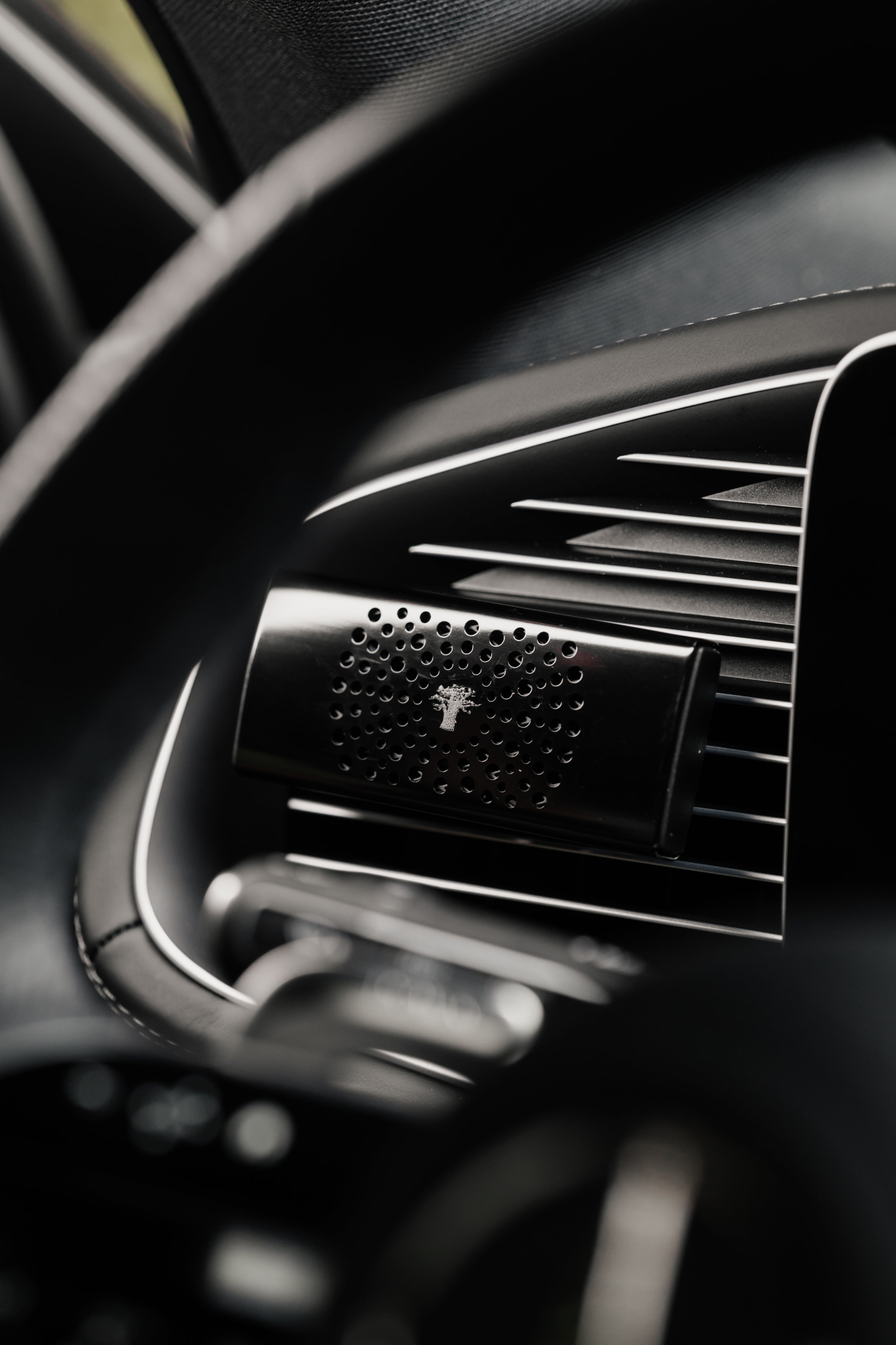 baobab-collection-diffuseur-de-voiture-black-pearls image 2