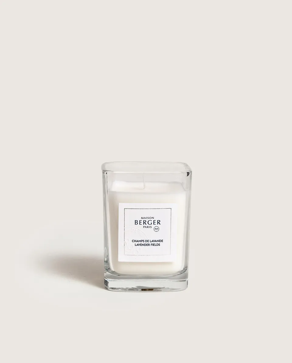 maison-berger-paris-bougie-parfum-e-champs-de-lavande image 1