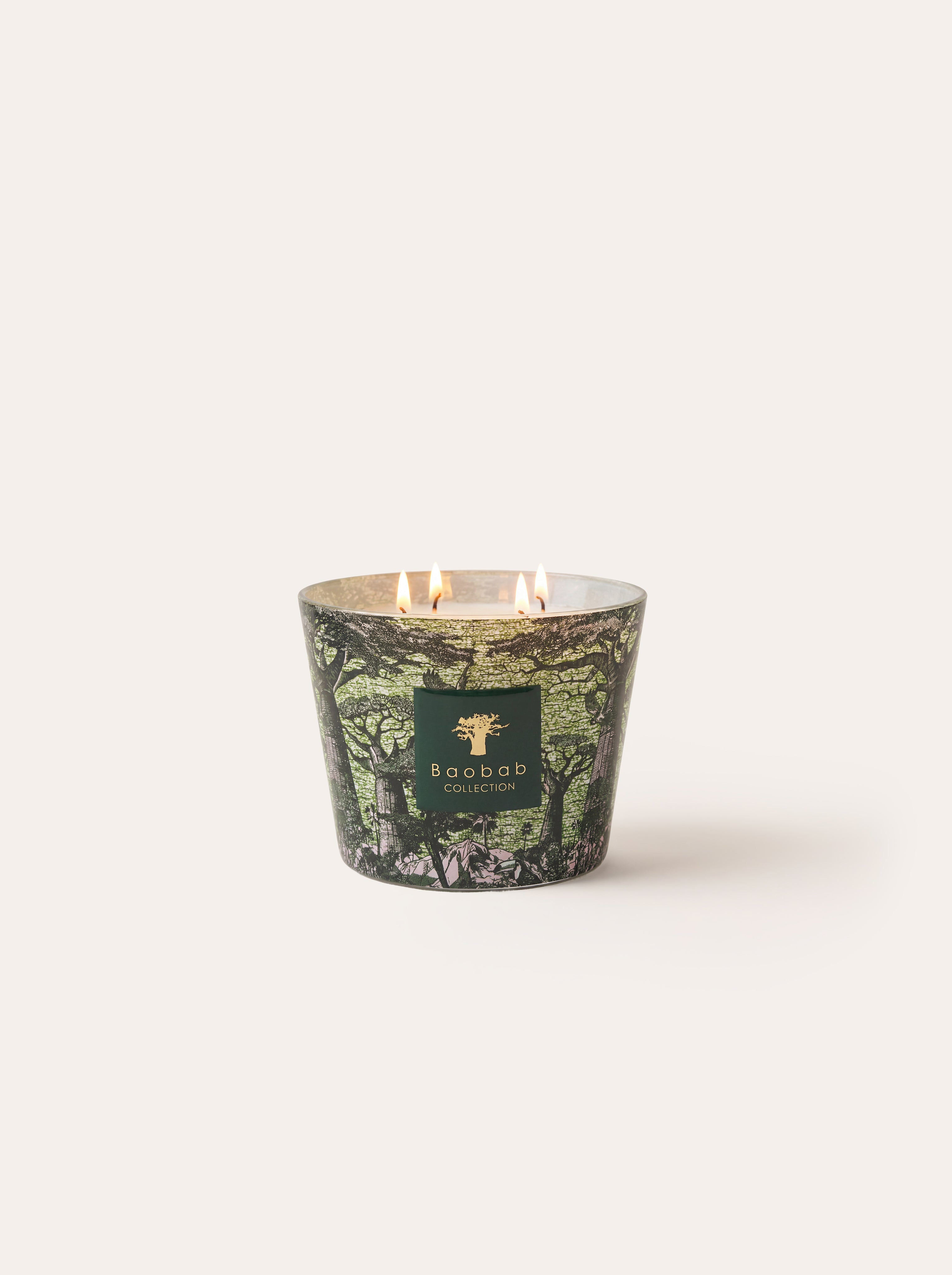 baobab-collection-sacred-trees-bougie-parfum-e-touba image 6