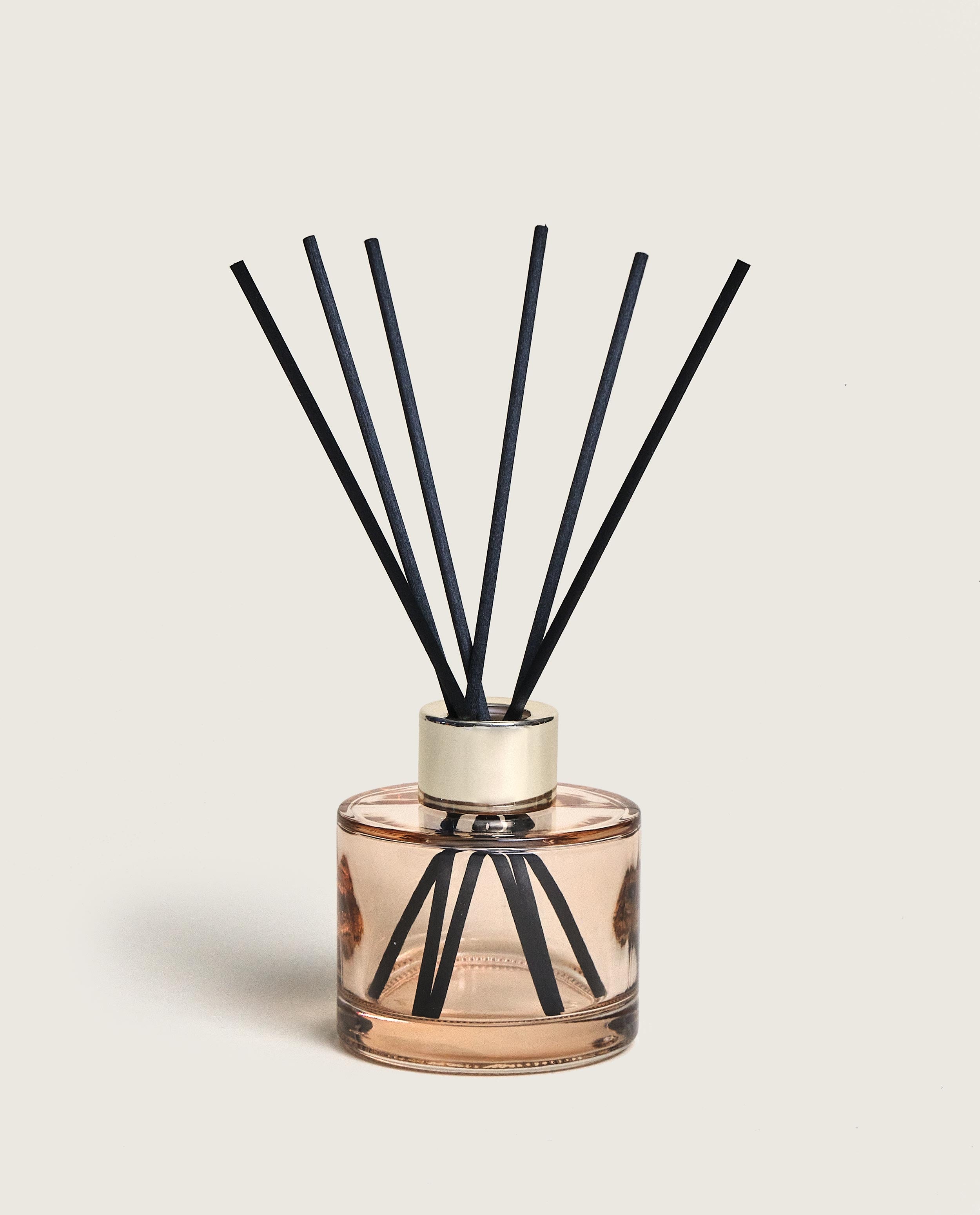 maison-berger-paris-coffret-les-petits-tr-sors-pomelis-bouquet-pomander image 3