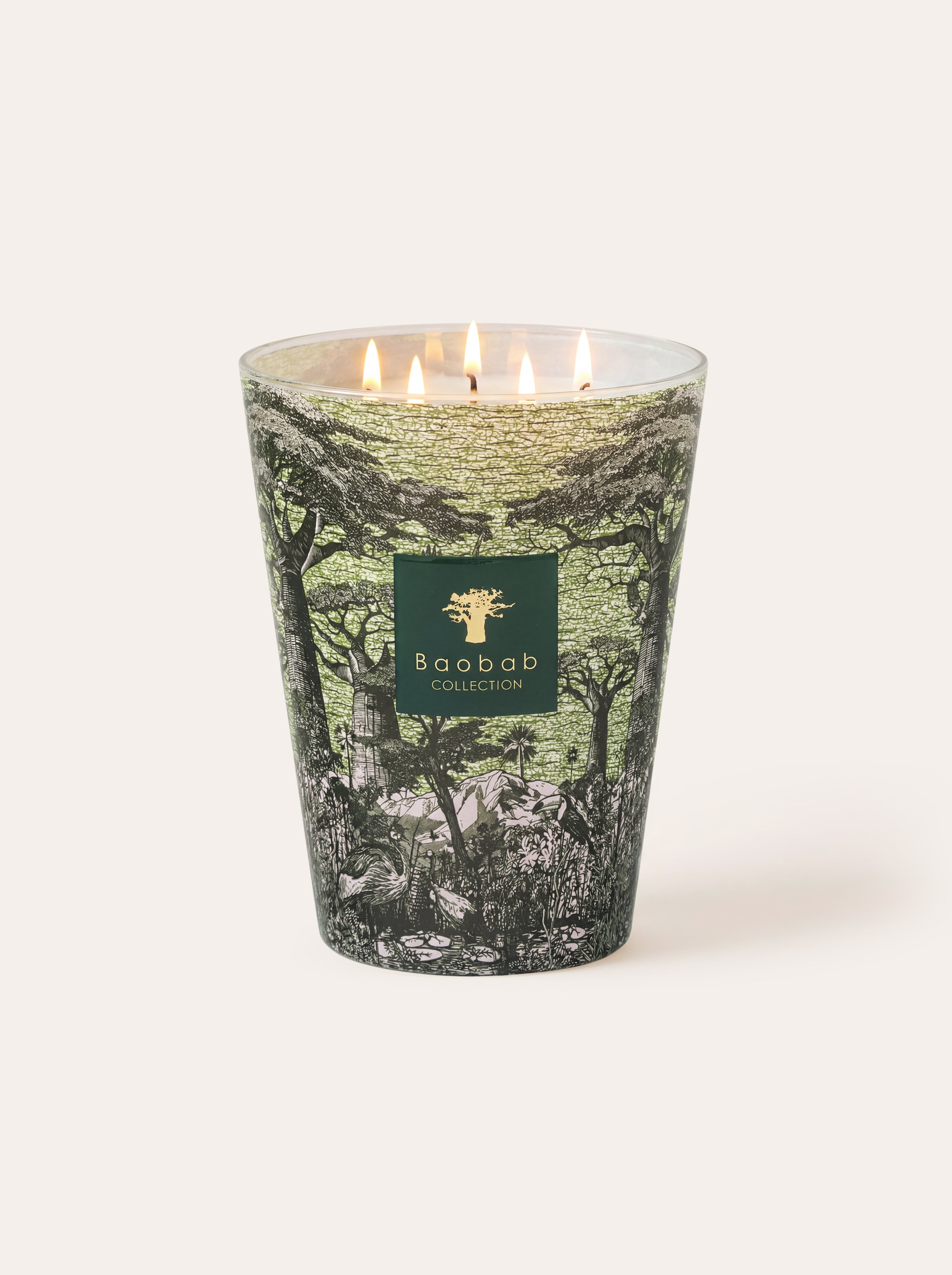 baobab-collection-sacred-trees-bougie-parfum-e-touba image 1