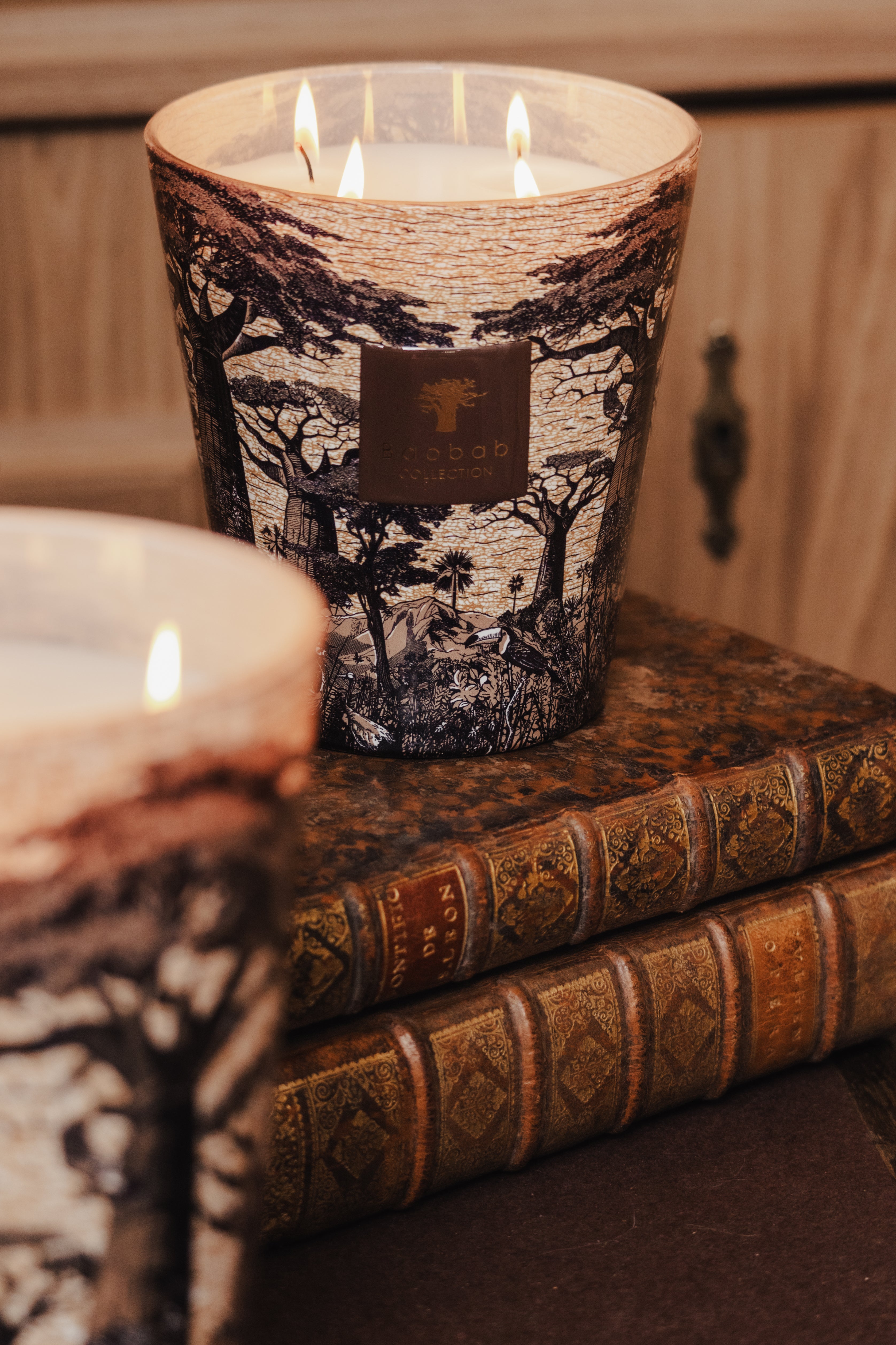 baobab-collection-bougie-parfum-e-sacred-trees-mankono image 4