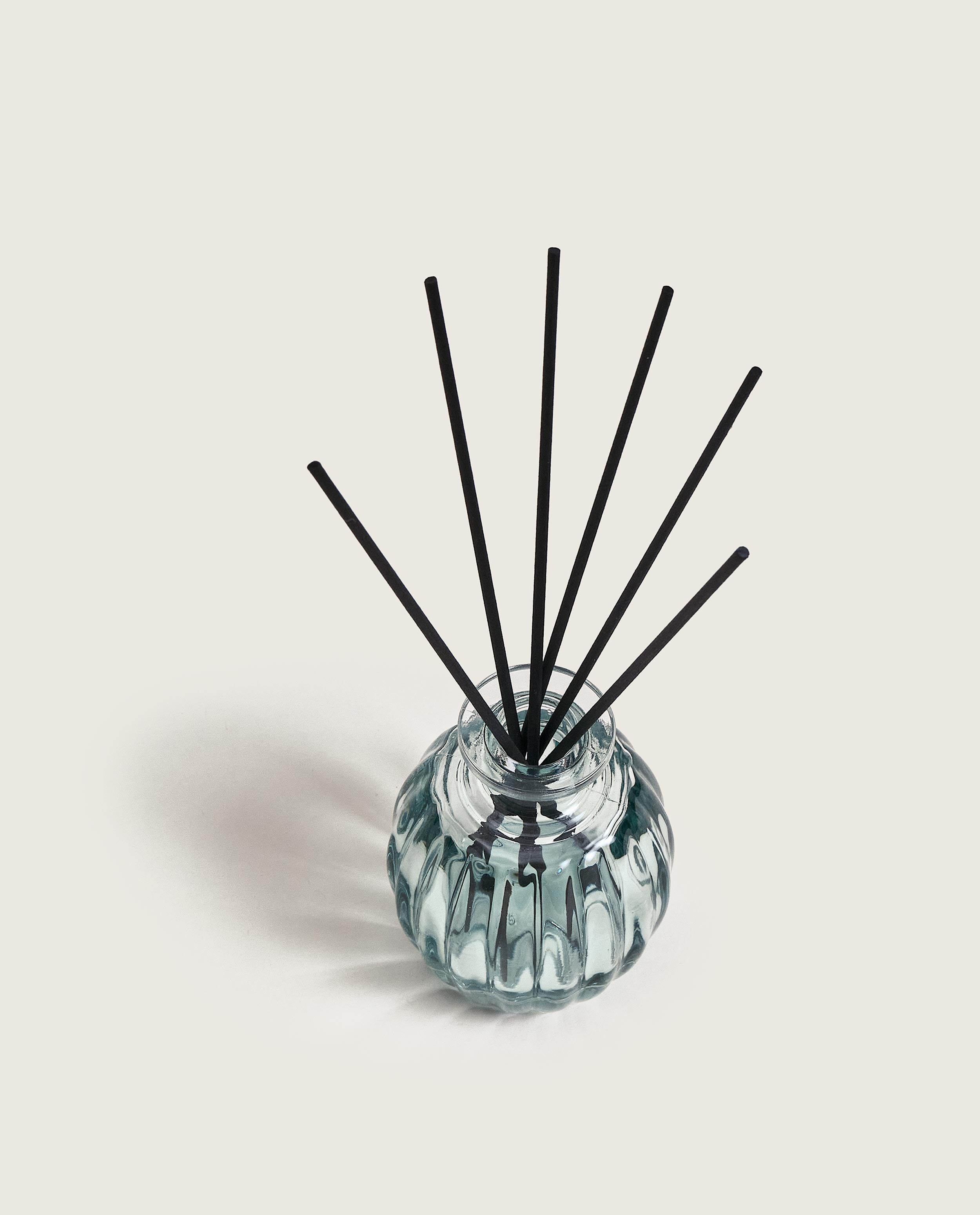 maison-berger-paris-mini-bouquet-corali-aqua-c-leste image 3