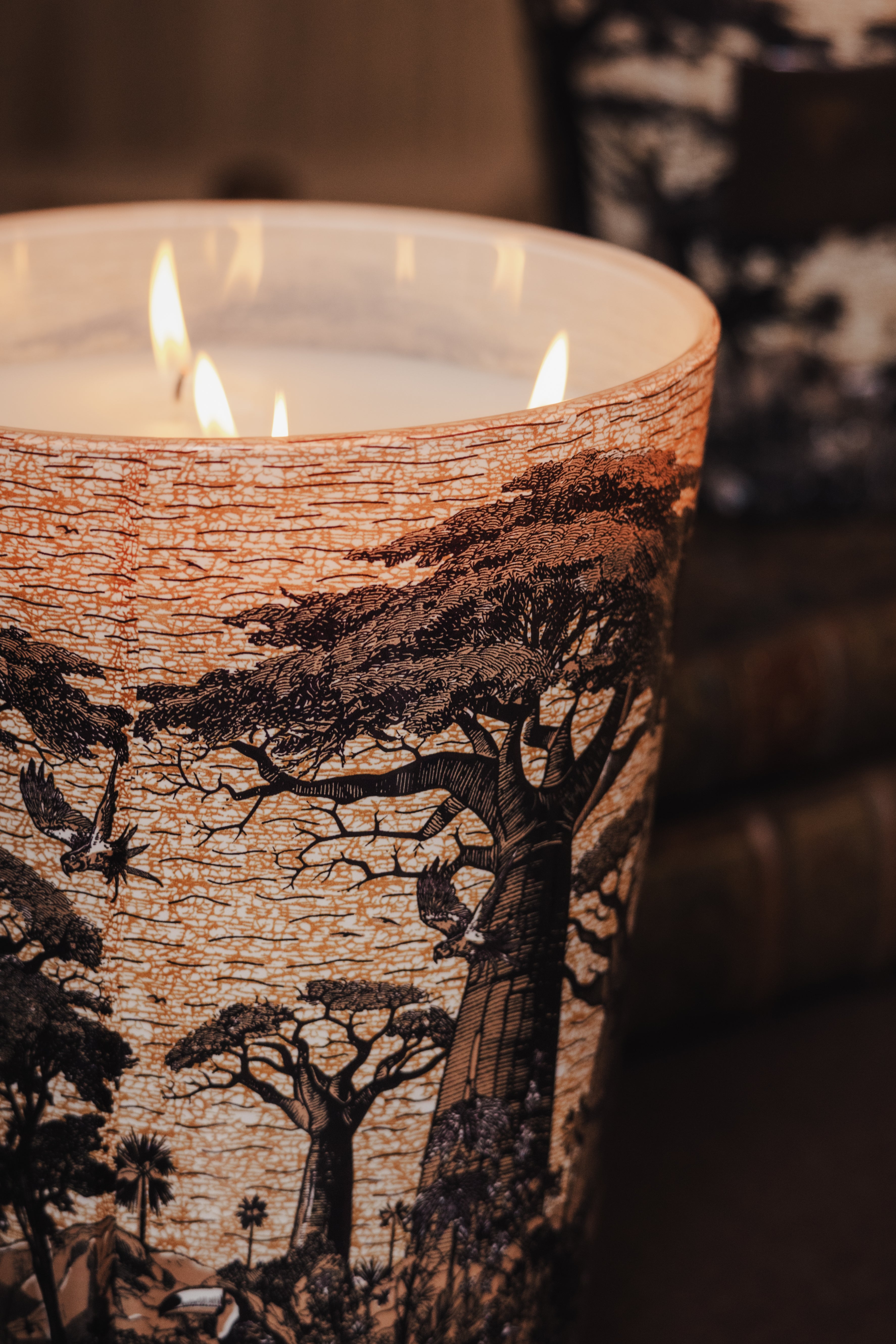 baobab-collection-bougie-parfum-e-sacred-trees-mankono image 5