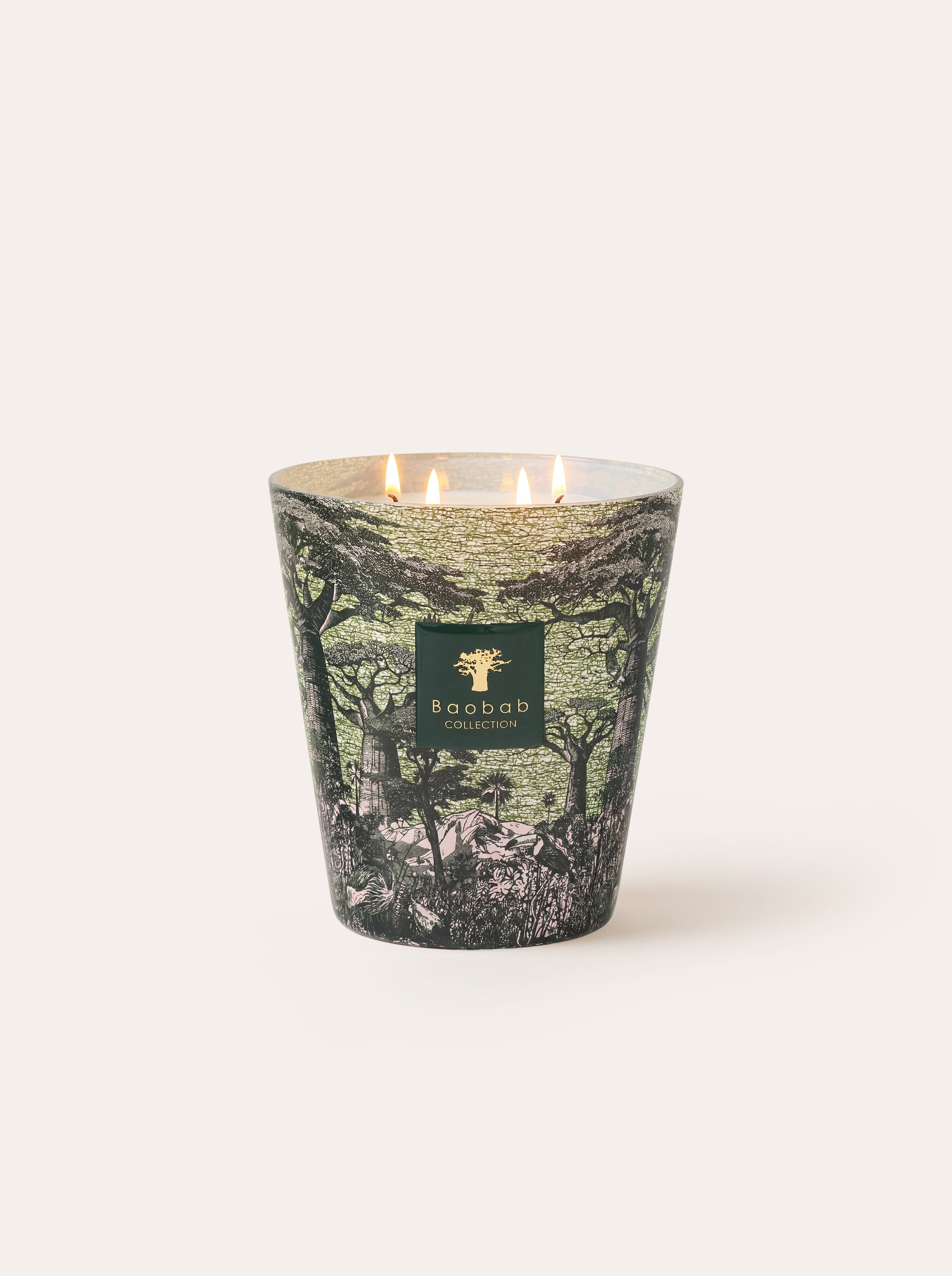baobab-collection-sacred-trees-bougie-parfum-e-touba image 5