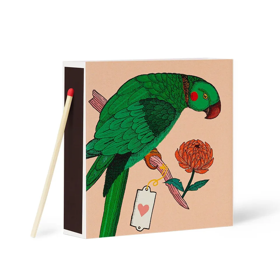 la-belle-m-che-bo-te-allumettes-perroquet-150-tiges-95mm image 1