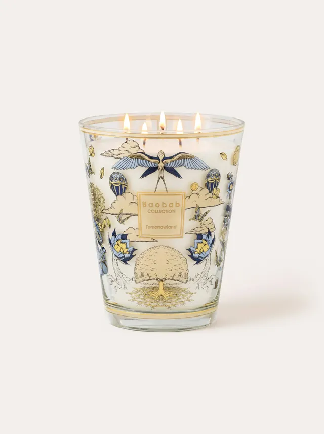 baobab-collection-tomorrowland-bougie-parfum-e-bleu-profond-dition-festival image 1