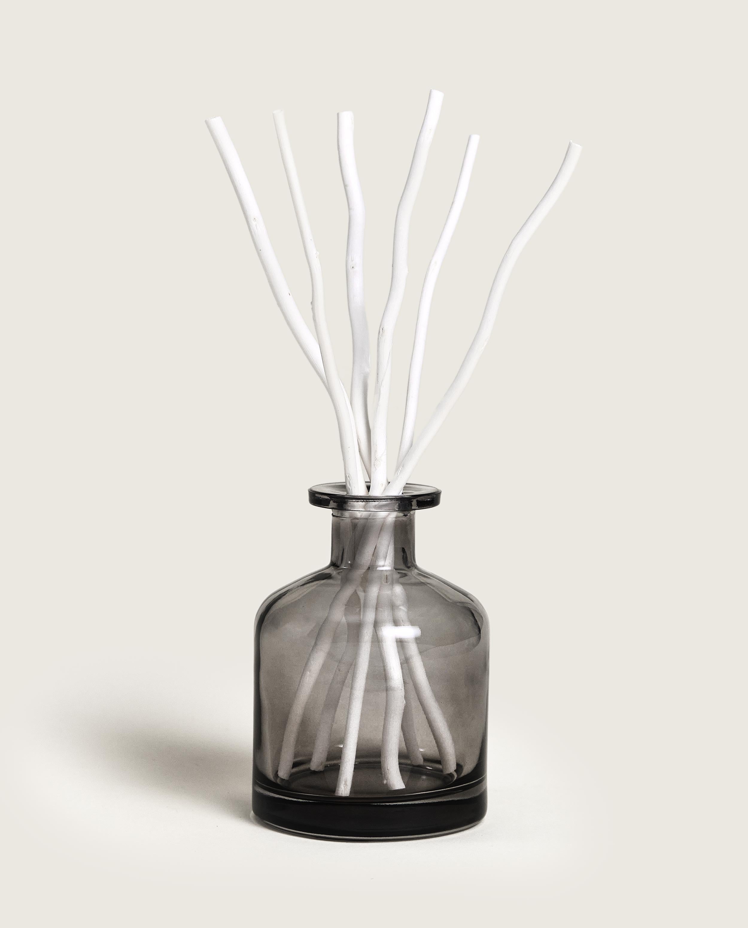 maison-berger-paris-bouquet-parfum-aroma-dream-gris-apothicaire image 2