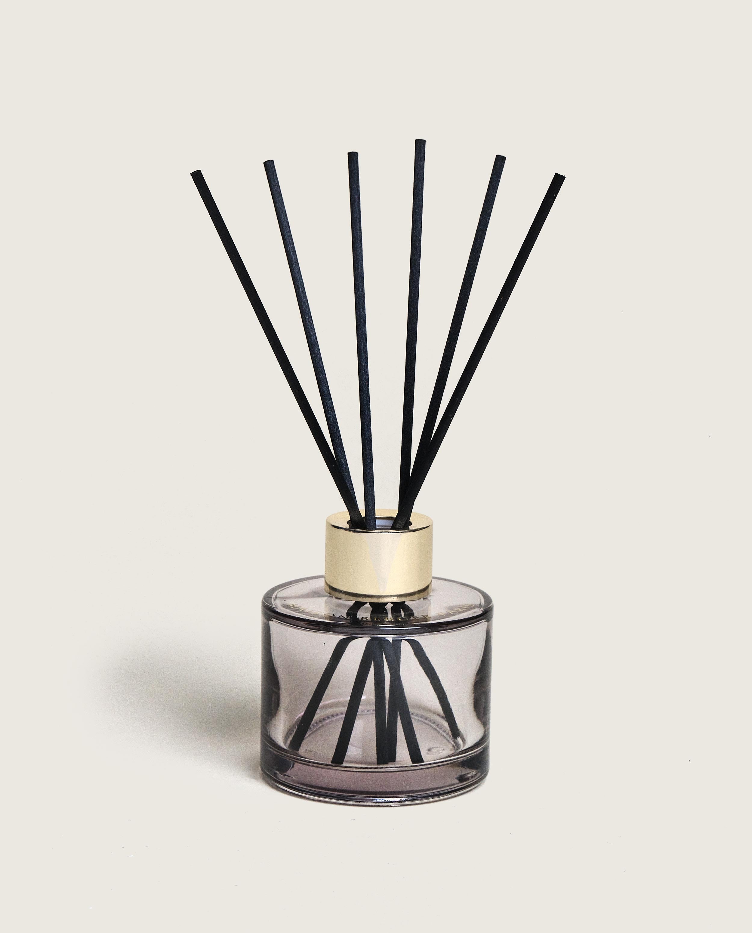 maison-berger-paris-duo-mini-bouquet-spray-rosalie-p-tillance-exquise image 3