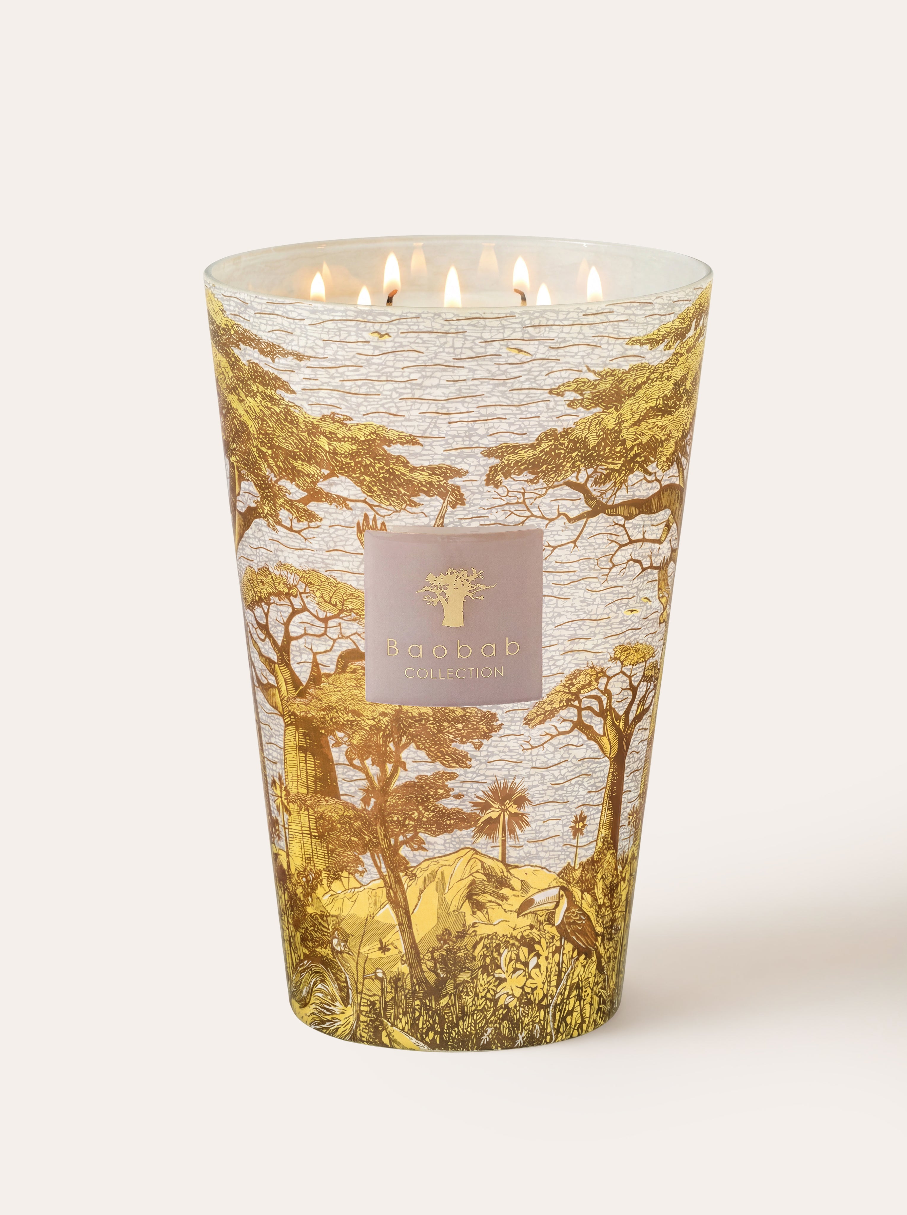 baobab-collection-bougie-parfum-e-sacred-trees-bounkani image 6