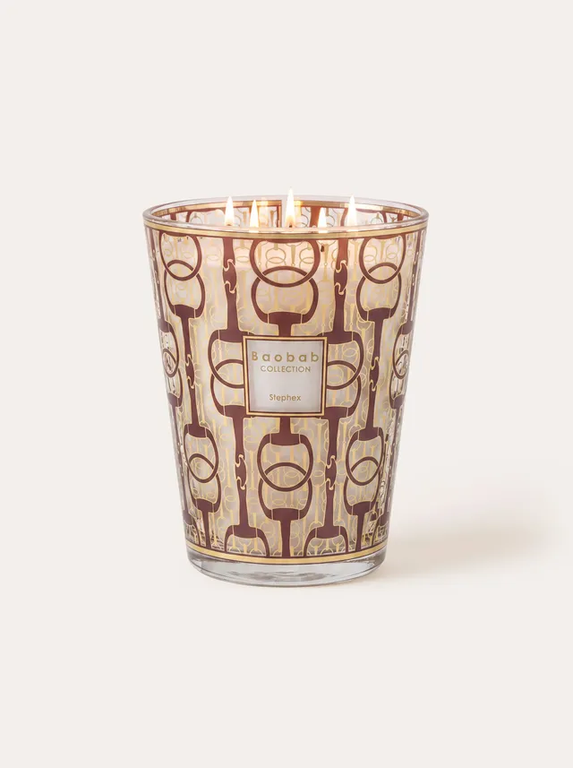 baobab-collection-stephex-bougie-parfum-e-dition-exclusive image 1