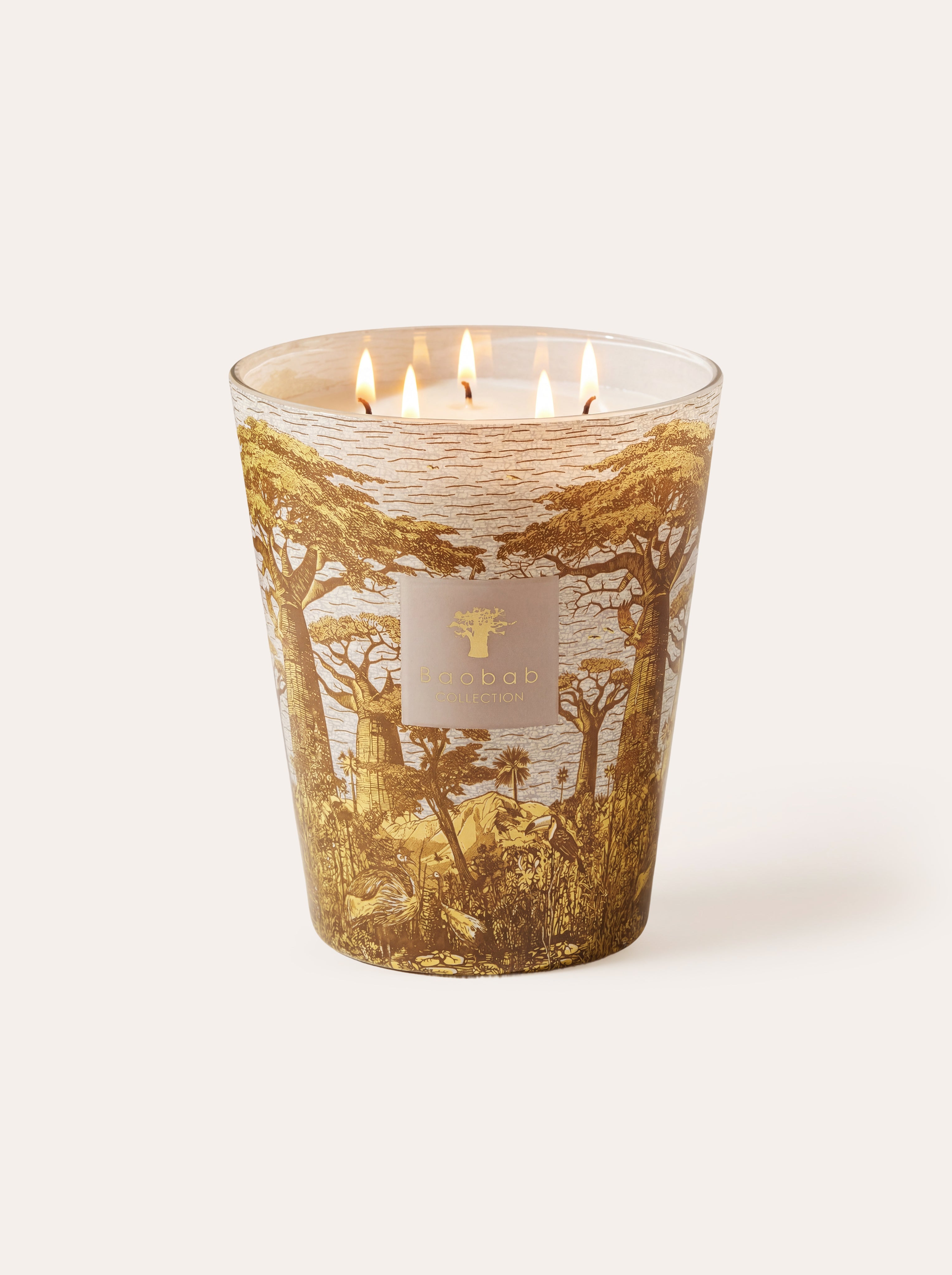 baobab-collection-bougie-parfum-e-sacred-trees-bounkani image 1