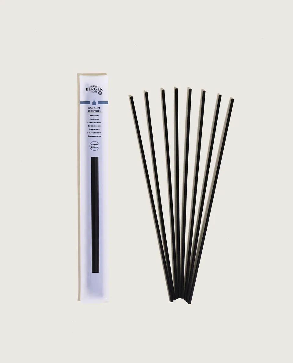 maison-berger-paris-tui-de-8-brins-noirs-24cm-recharge-bouquet image 1