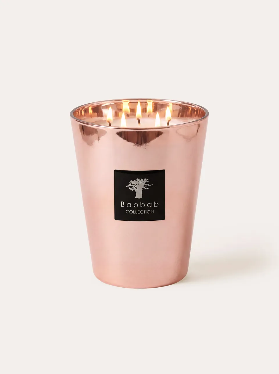 baobab-collection-les-exclusives-bougie-parfum-e-roseum image 1